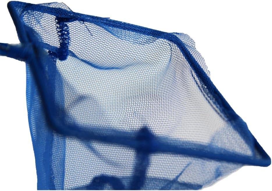 Why Our ⁤Aquarium Routine Improved with⁣ This Quick, Durable net