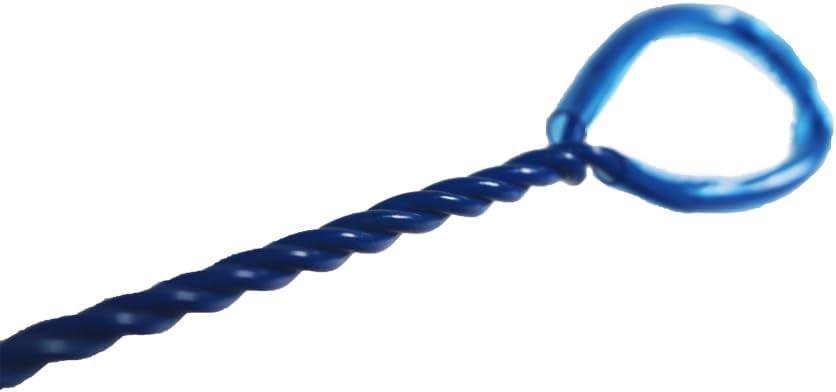 Why Our Aquarium Routine Improved with This Quick, Durable Net