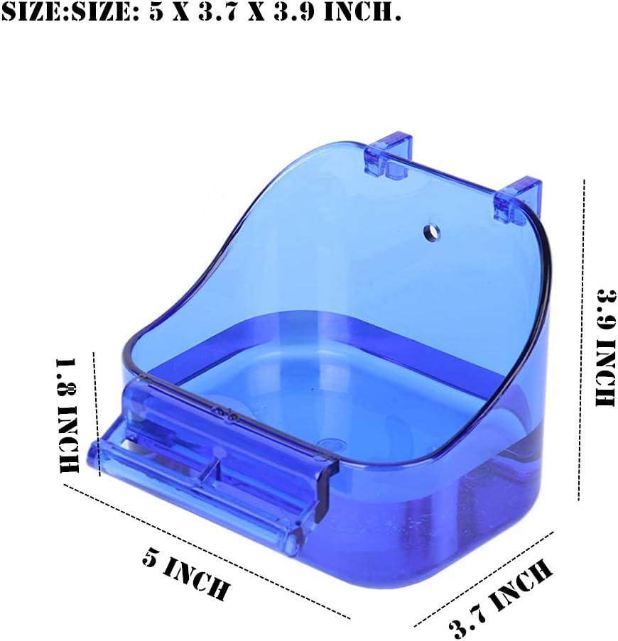 How Our Feathered ‌Friends Enjoy a Safe,⁤ Splashy Spa Day