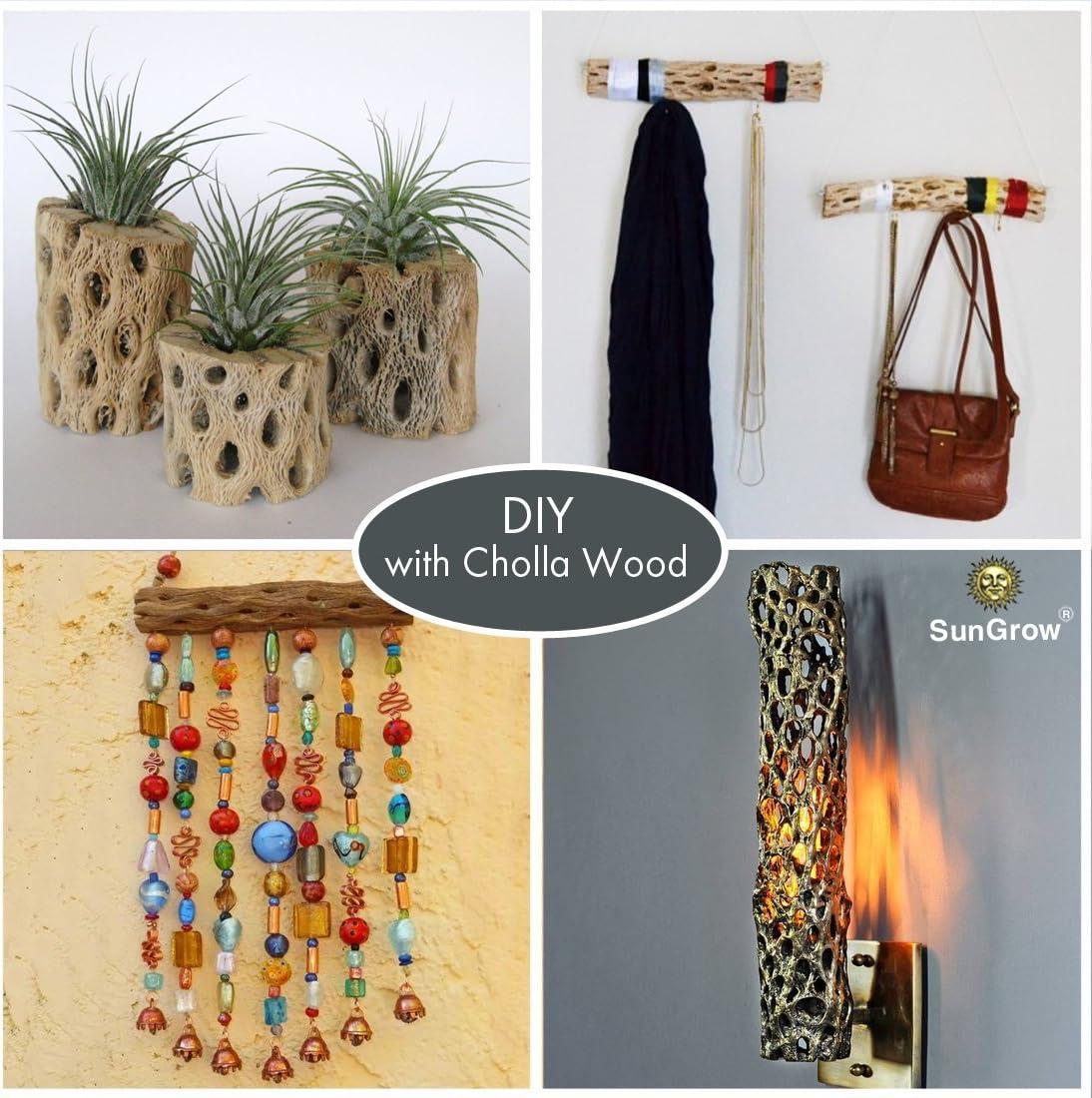 How We elevated Our Shrimp⁤ Tank With Natural Climbing⁣ logs