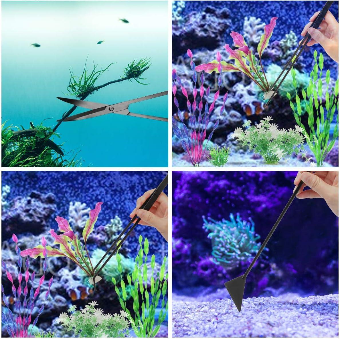 How Our ⁣Aquarium Toolkit ‍Transformed Plant Care and Tank Cleanliness
