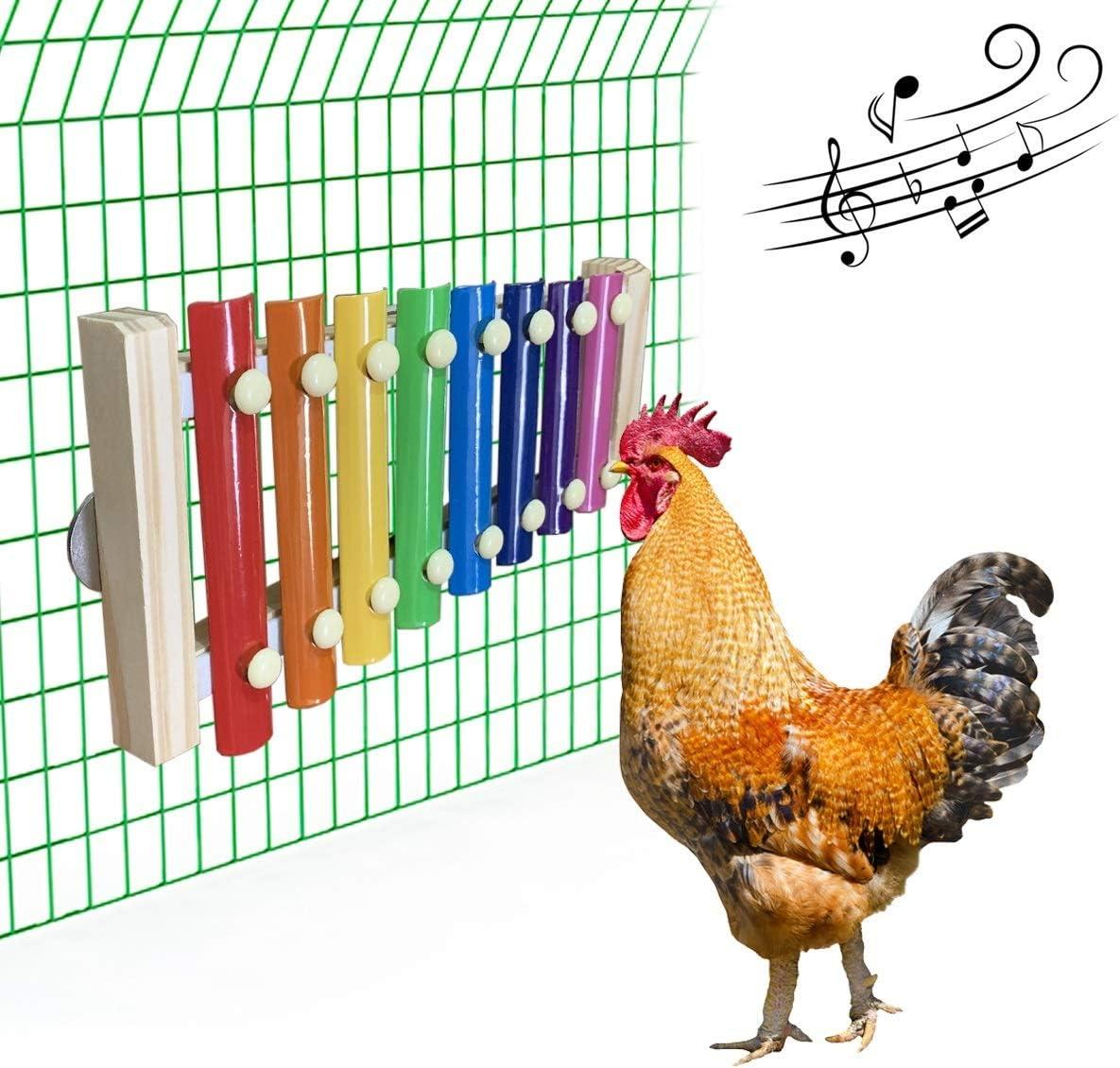 How We Added Joy and Activity to Our​ Coop with a⁢ Chicken Xylophone