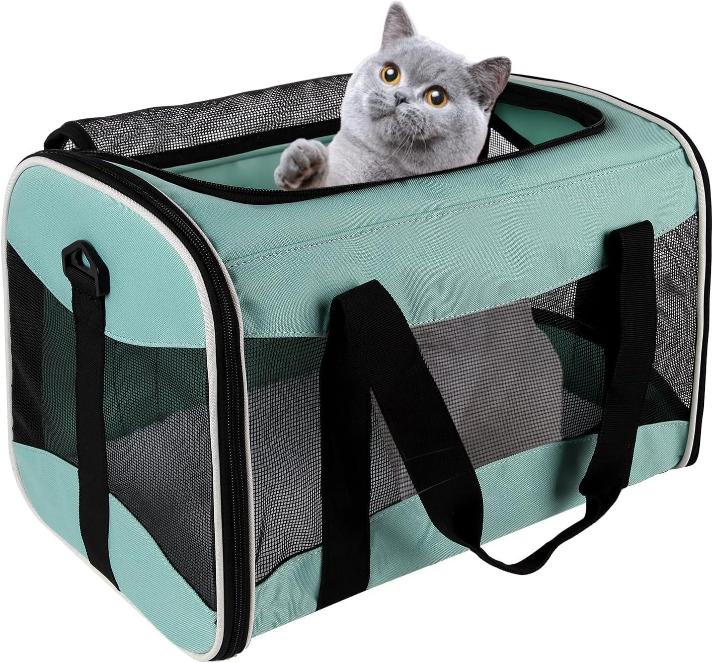 Why We Trust This Cozy Carrier for ​our Small Traveling pets