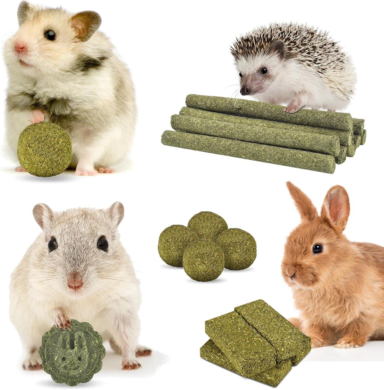 How natural Timothy Chew Toys‌ Keep Our Rodents’ Teeth Healthy