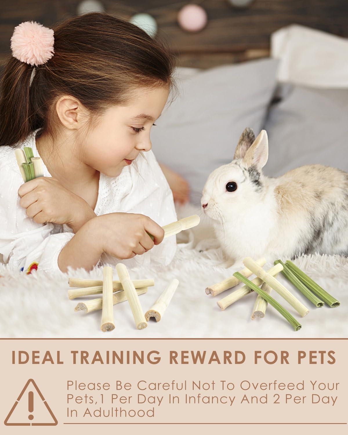 How We⁤ Keep Our Small Pets Happy and Healthy with Natural Chews