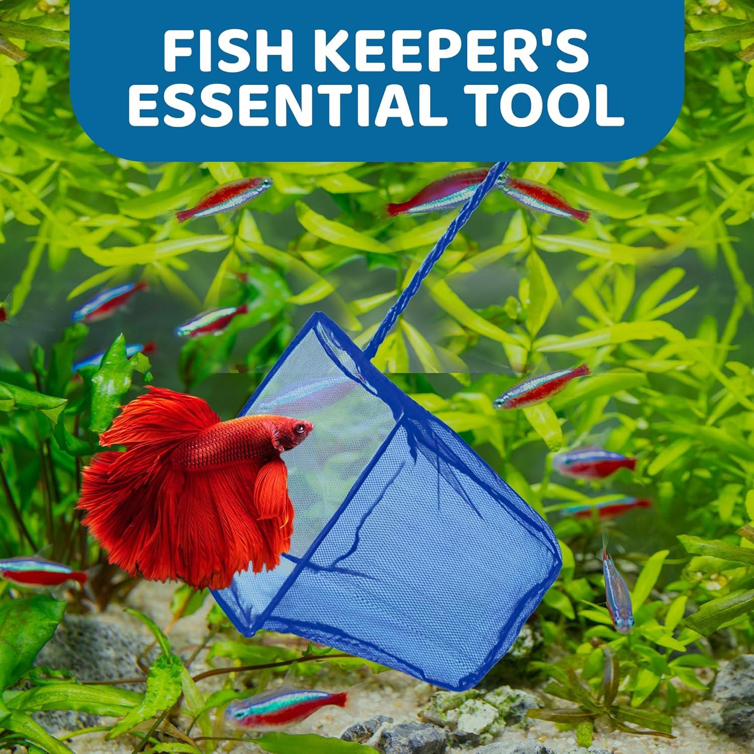 The Gentle Net​ That Makes Aquarium ​Care Effortlessly Smooth