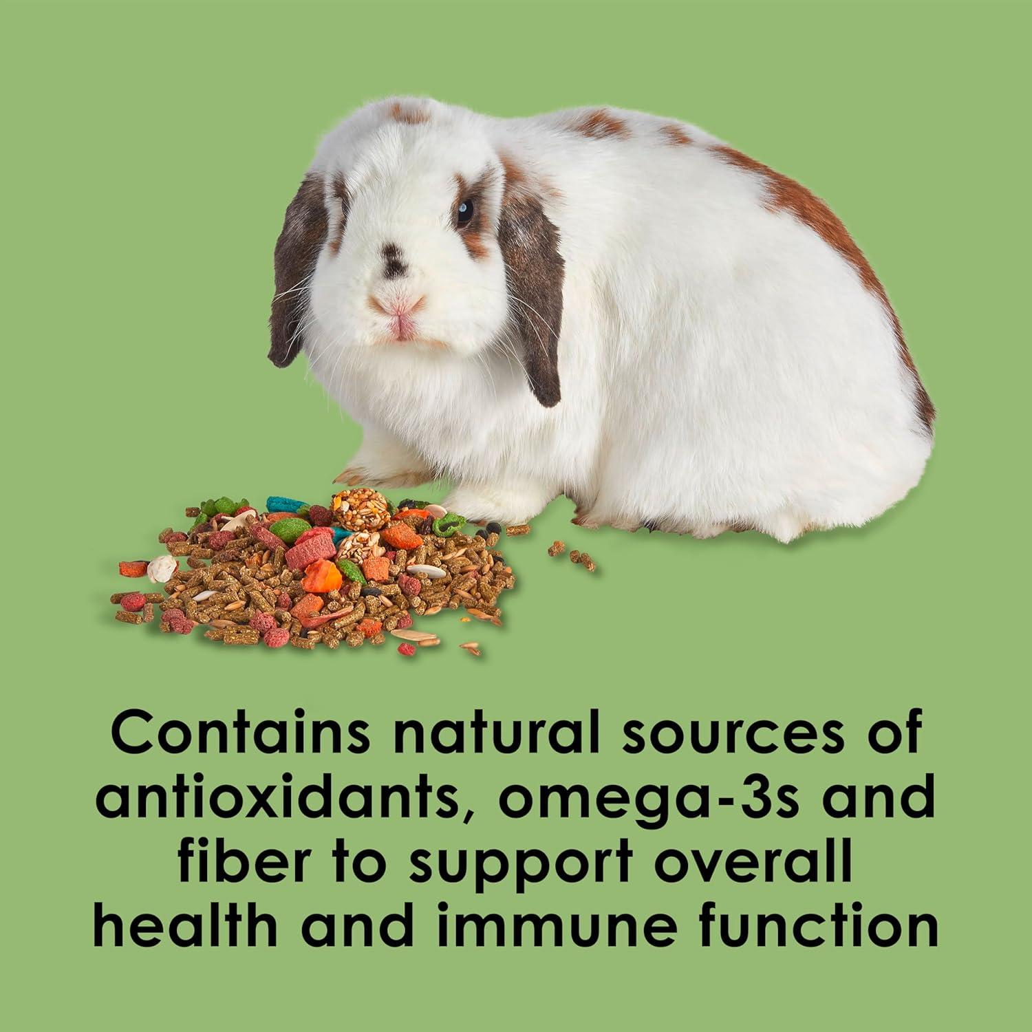 Why Kaytee‌ Fiesta Turns every Bunny’s Meal into a‌ Celebration