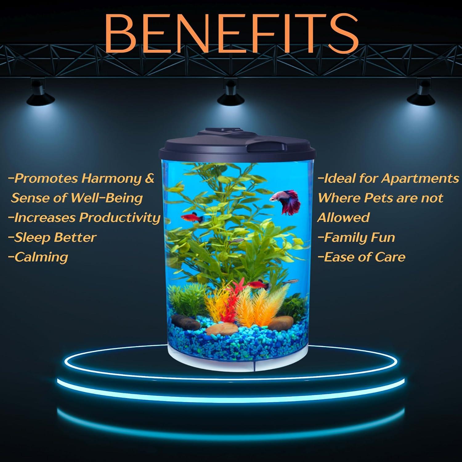 How Our 3-Gallon Aquarium Brings Color and ​Clarity⁣ to Life