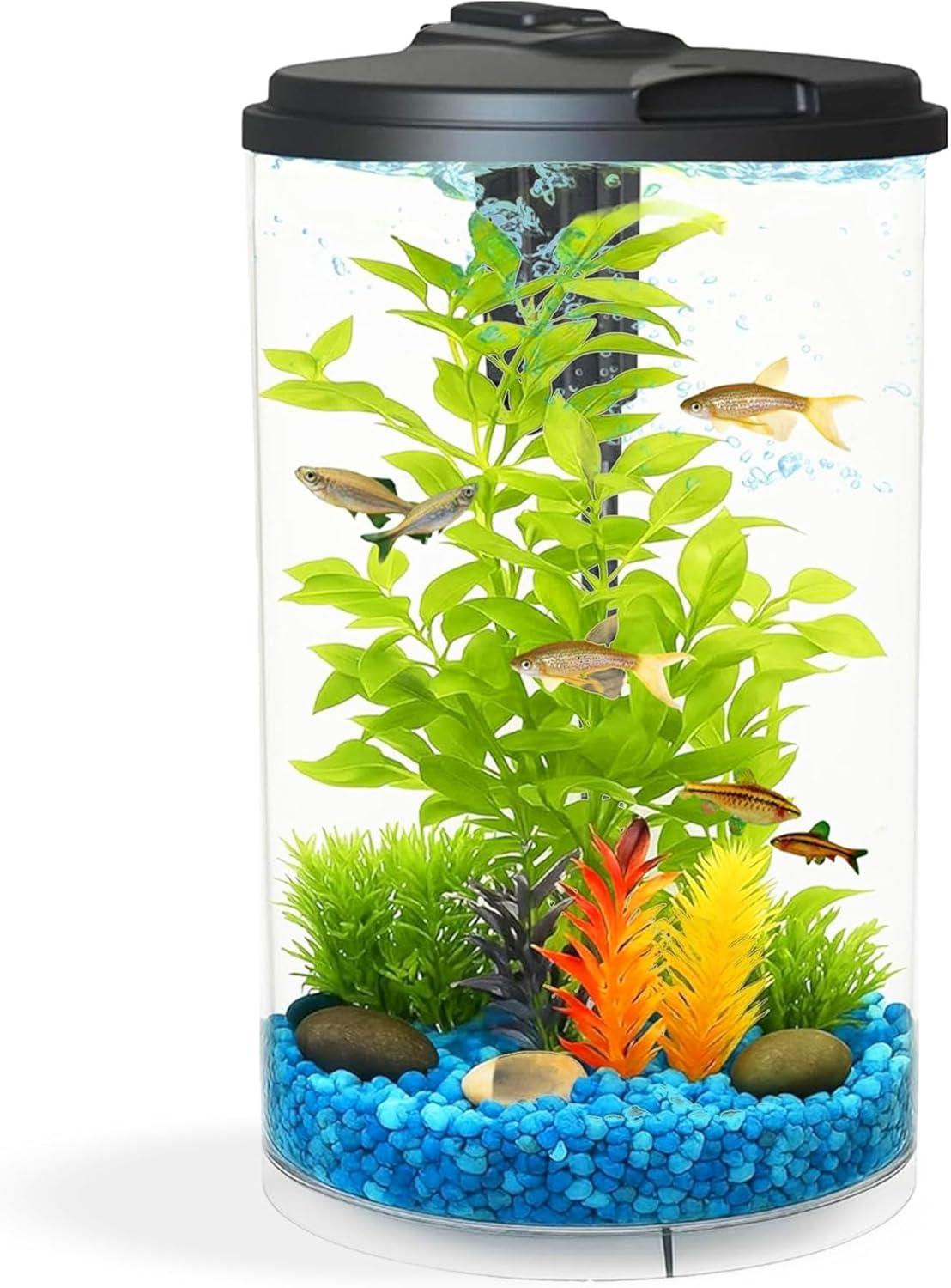 How Our 3-Gallon Aquarium Brings Color and Clarity to ⁢Life