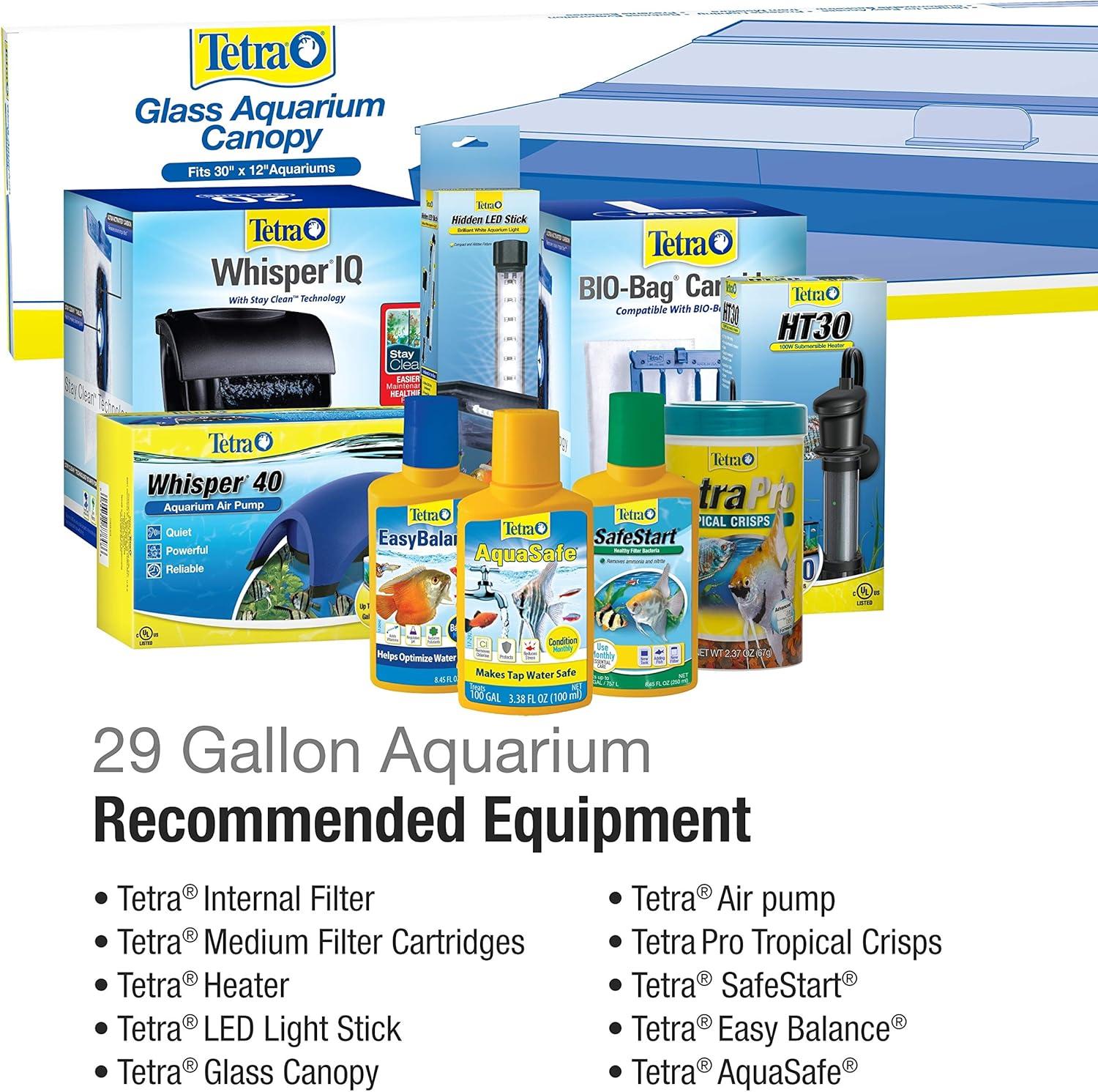 How Our 29-Gallon Glass Aquarium Transformed Fishkeeping Fun