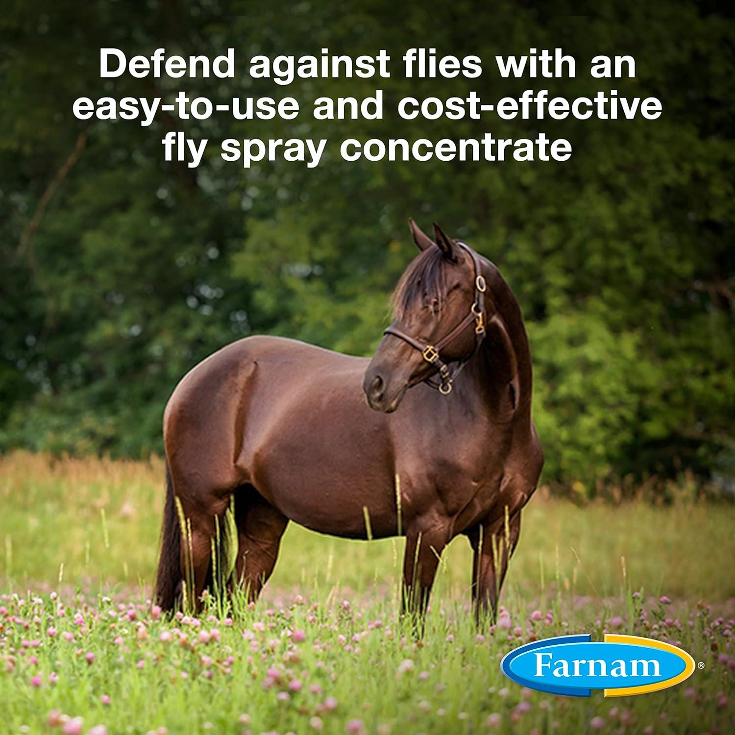 How We Mix Bulk Fly Spray That keeps Our Horses Bite-Free