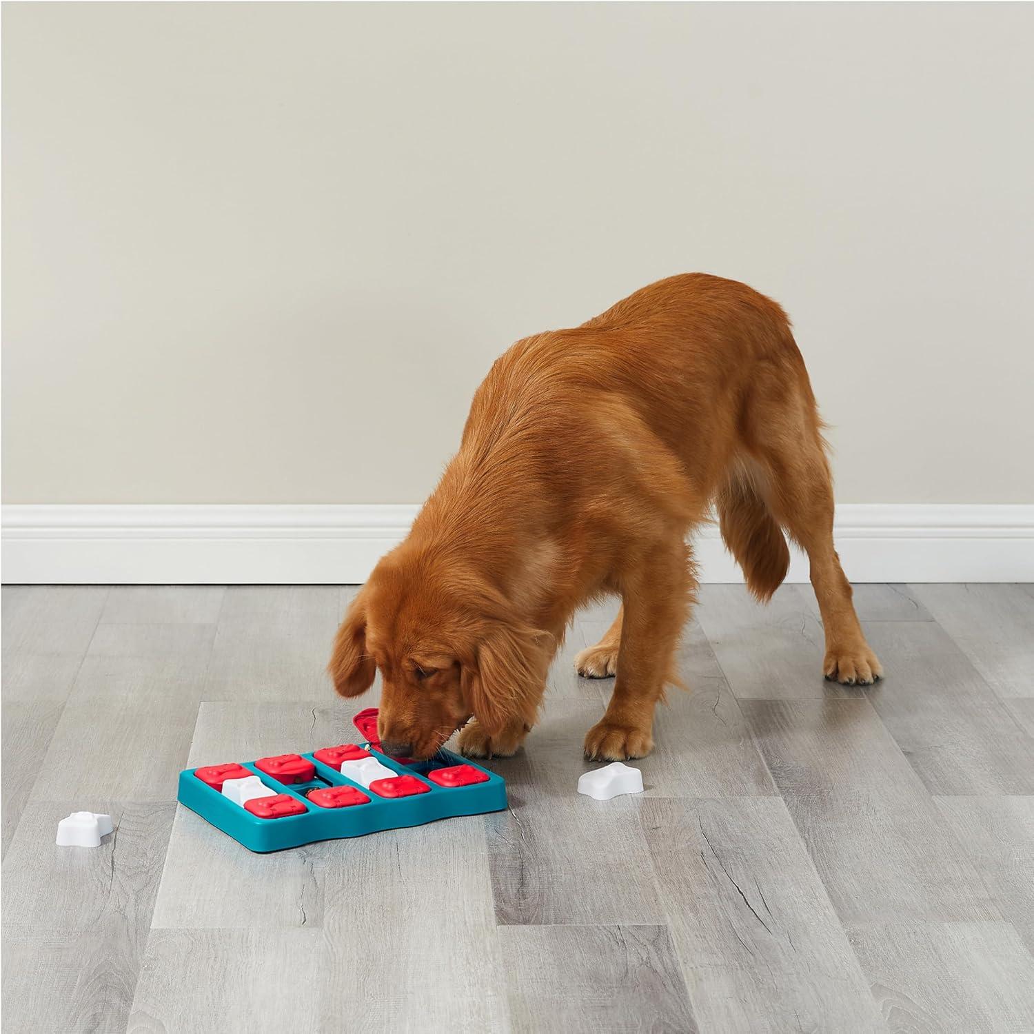Keeping Our Dogs Sharp: The Interactive Puzzle That Turns Treats Into Brain games