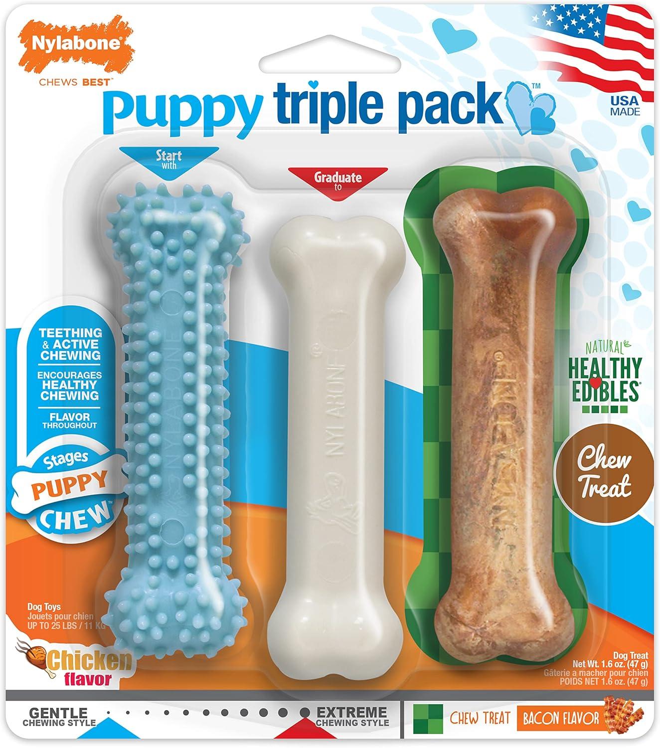 How Our Puppy's Teething Pain Faded with Tasty Chew Toys