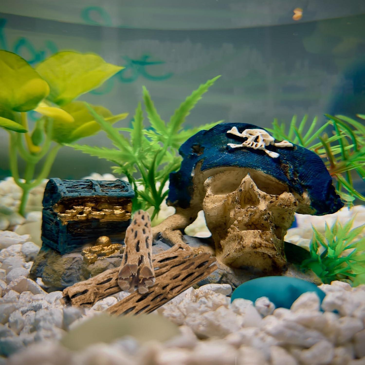 How We Elevated Our ⁢Shrimp Tank With Natural‌ Climbing Logs