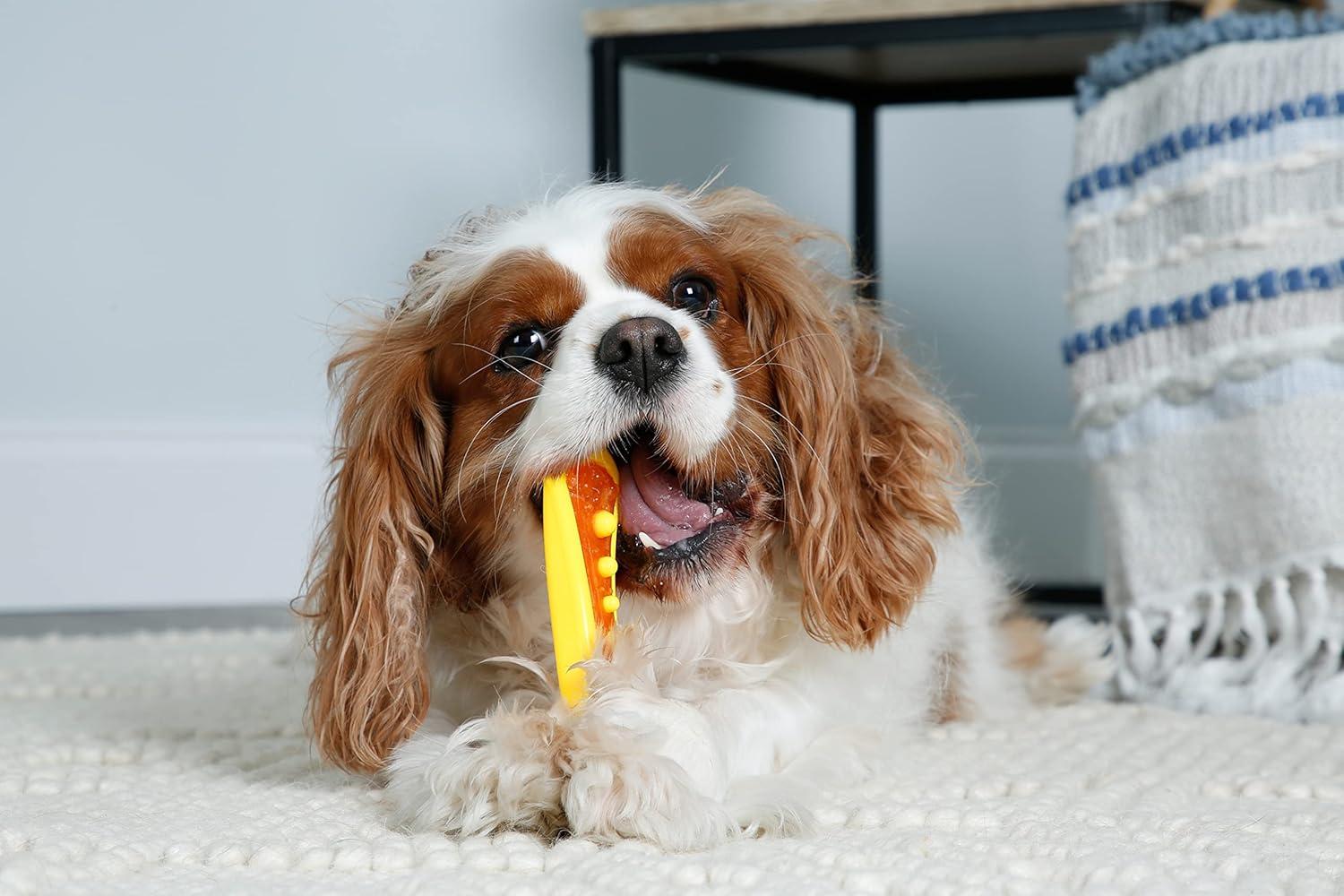 How Our Dogs​ Loved the Chew⁣ Toy That Cleans Their ‌Teeth