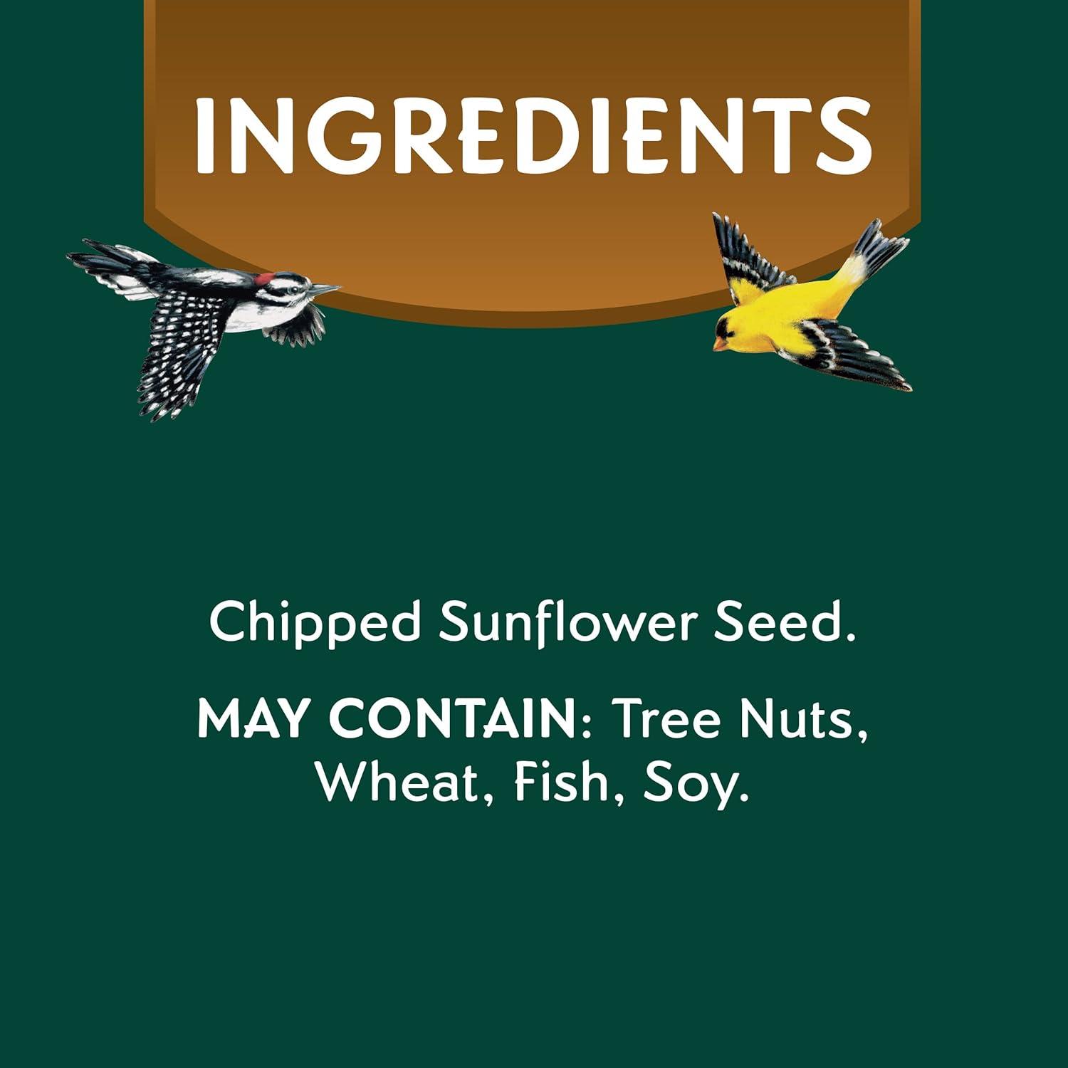 How⁣ We Cut Backyard Birdseed Mess with Morning Song’s Shell-Free Mix