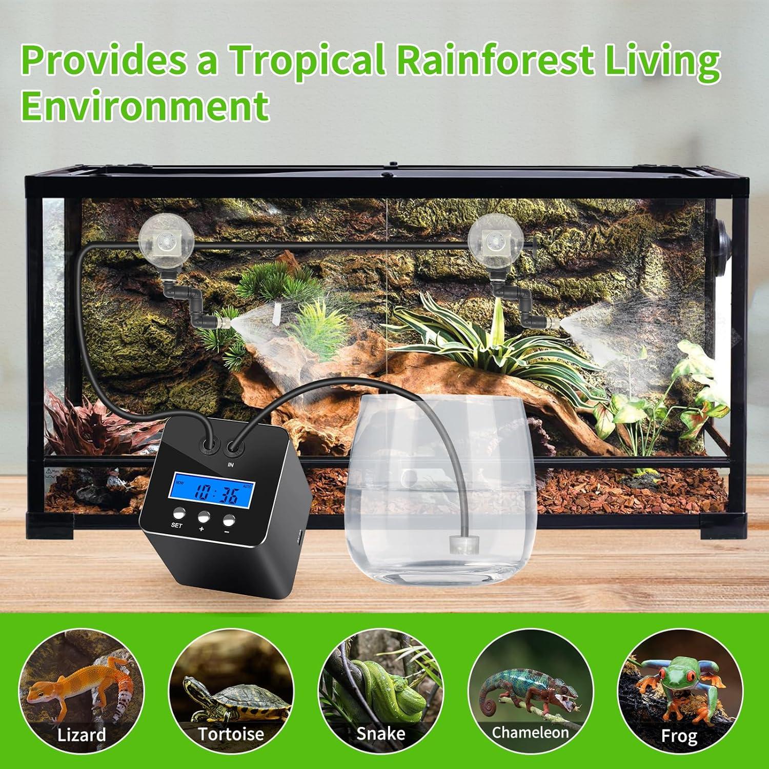 How Our ‍Reptile Habitat Thrived with Smart Misting Control