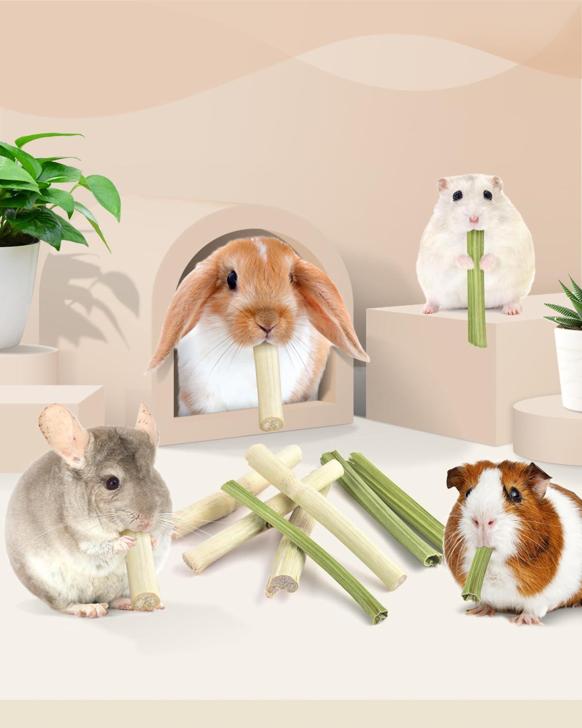 How We Keep Our Small ⁢Pets ‌Happy and Healthy with Natural ‌Chews