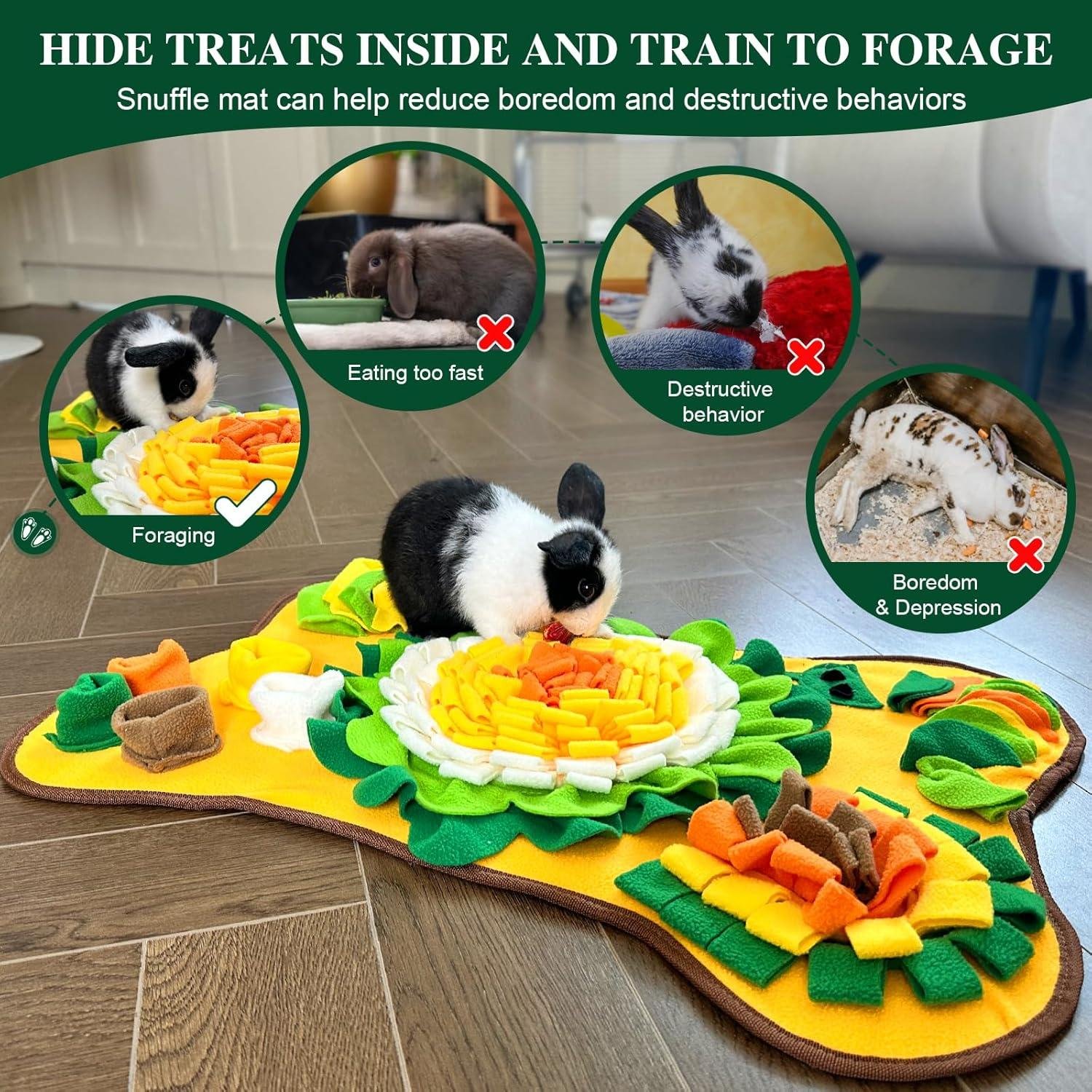 How Our Pets Stay Happy and busy⁣ with This Cozy Foraging Mat