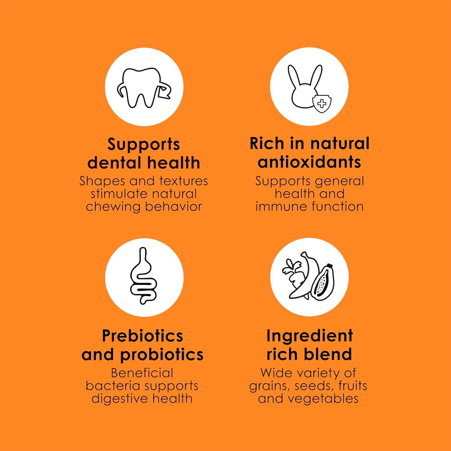 Why Kaytee Fiesta Turns Every Bunny’s Meal into a Celebration