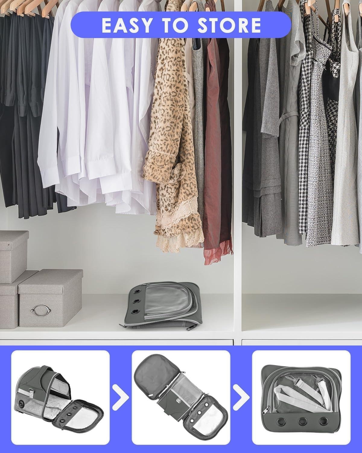 Keeping Our Small Pets Safe and Comfy on Every Outing