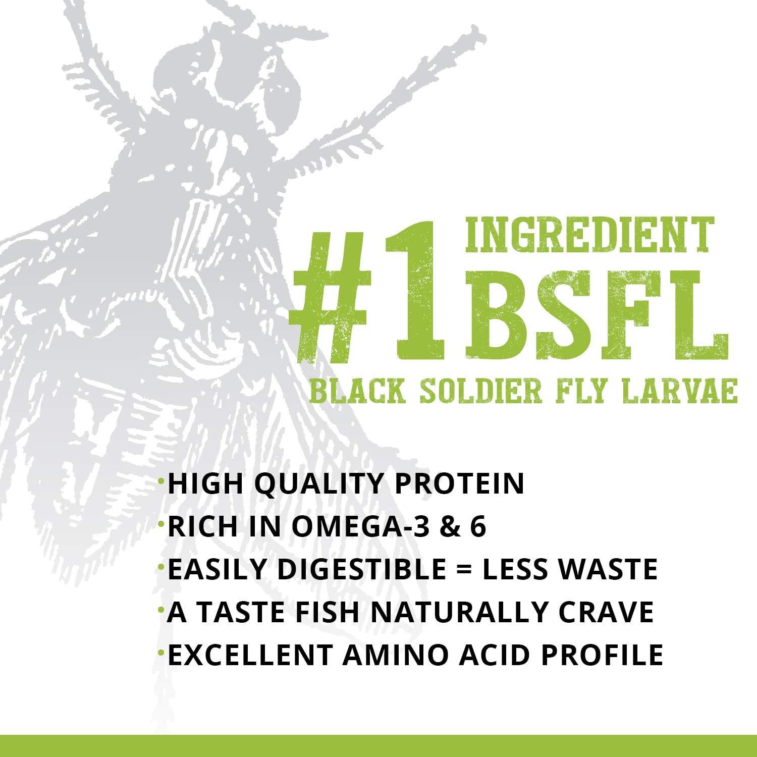 How Our Bottom Feeders Thrived on This Protein-Packed Insect Diet