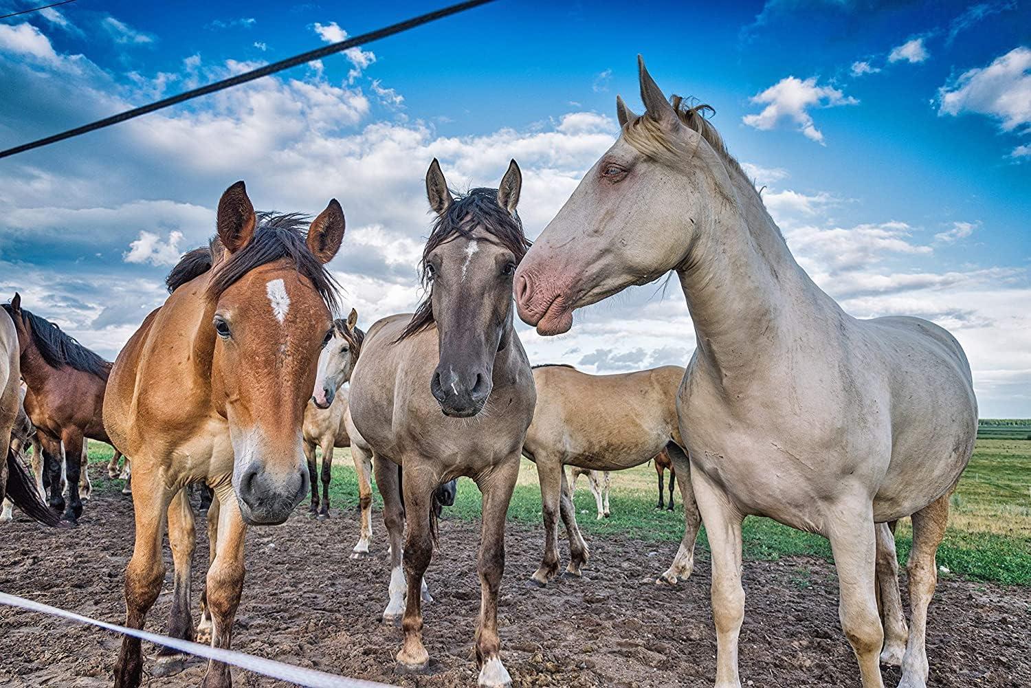 How Our Barn Finally Beat​ Mosquitoes with⁣ 24-Hour Control