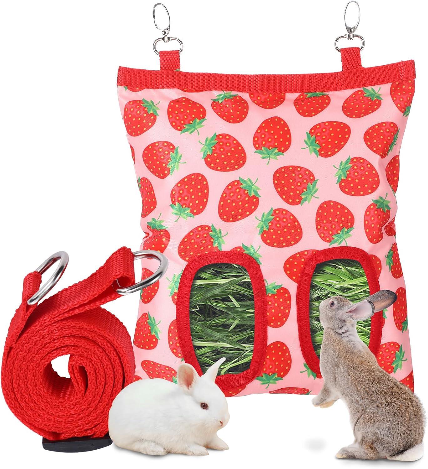 How This durable Hay Feeder Keeps Our​ Small​ Pets Happy and Clean