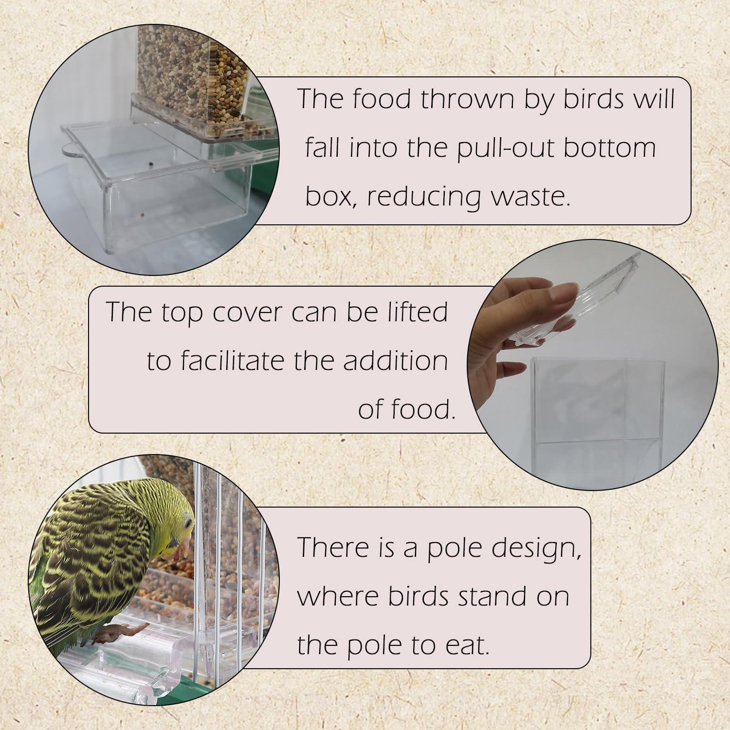 How ā¢this Mess-Free Bird Feeder Simplified Our Parrot Care Routine