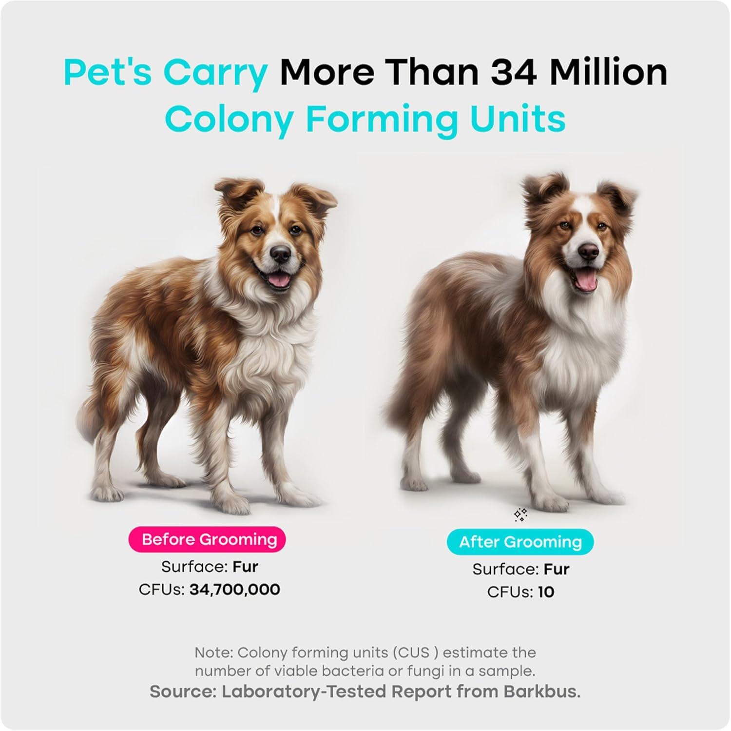 How We Finally⁤ Tamed Our Pets’ Hair Mess—Quiet, Complete Care