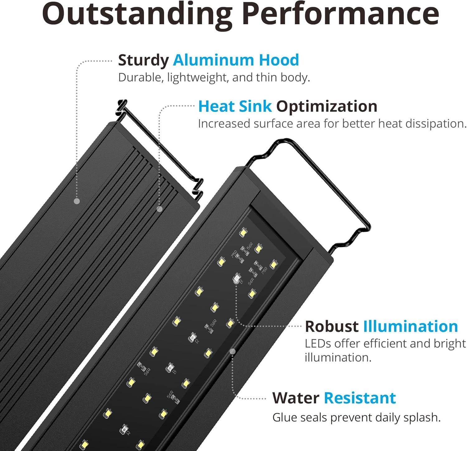 How Our Aquarium Thrived‍ with ‍a Light That ‌Mimics Nature’s Rhythm