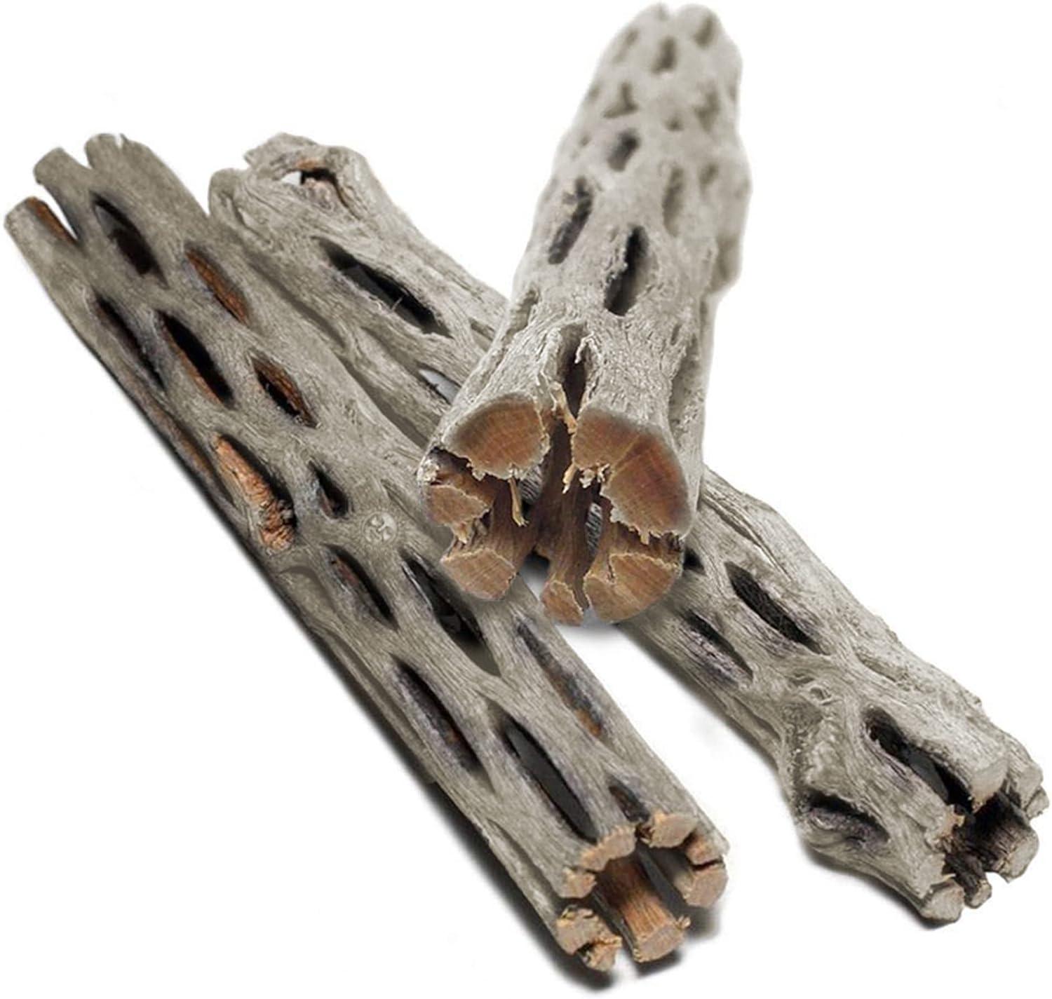 how We Elevated Our Shrimp Tank With Natural Climbing Logs