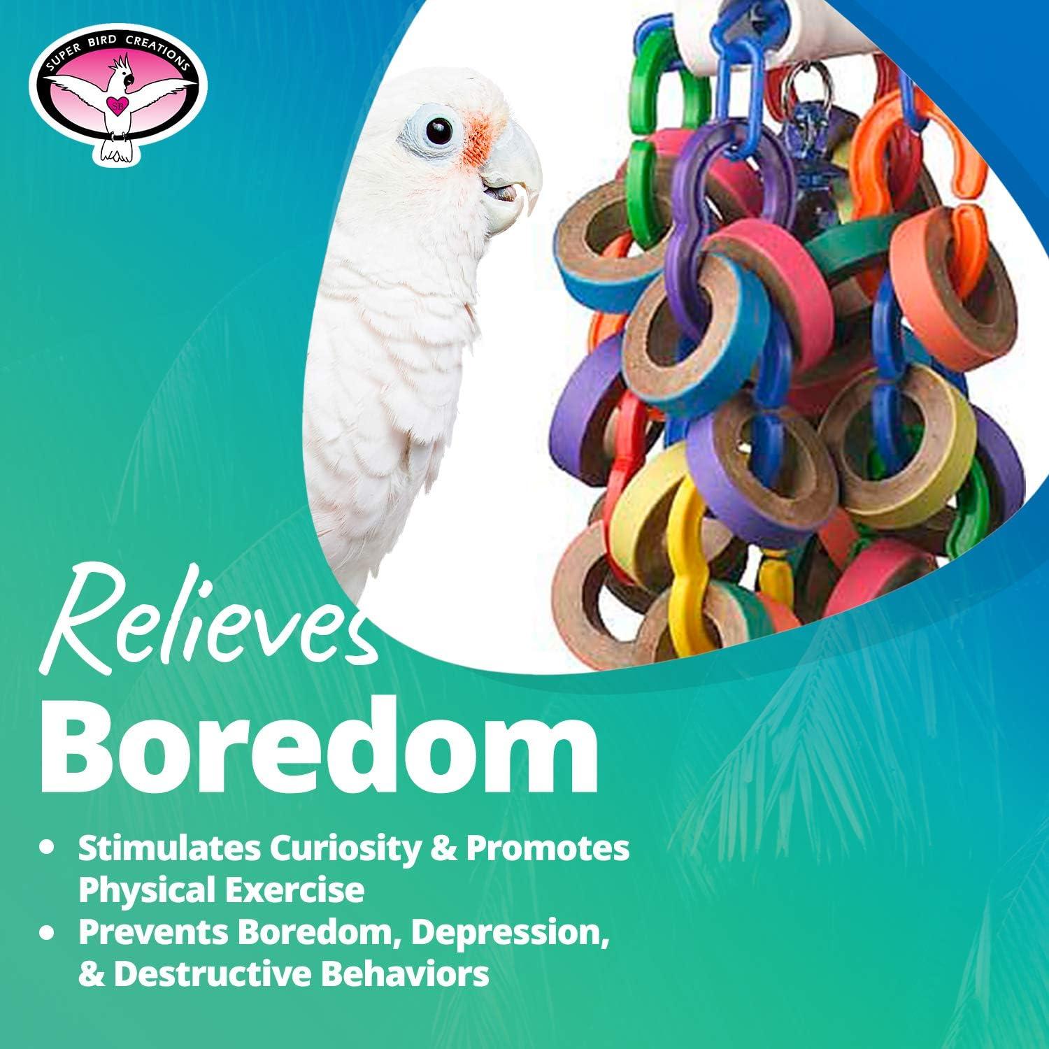 How our Large Birds Stay Happy and Active with Bagel Fun