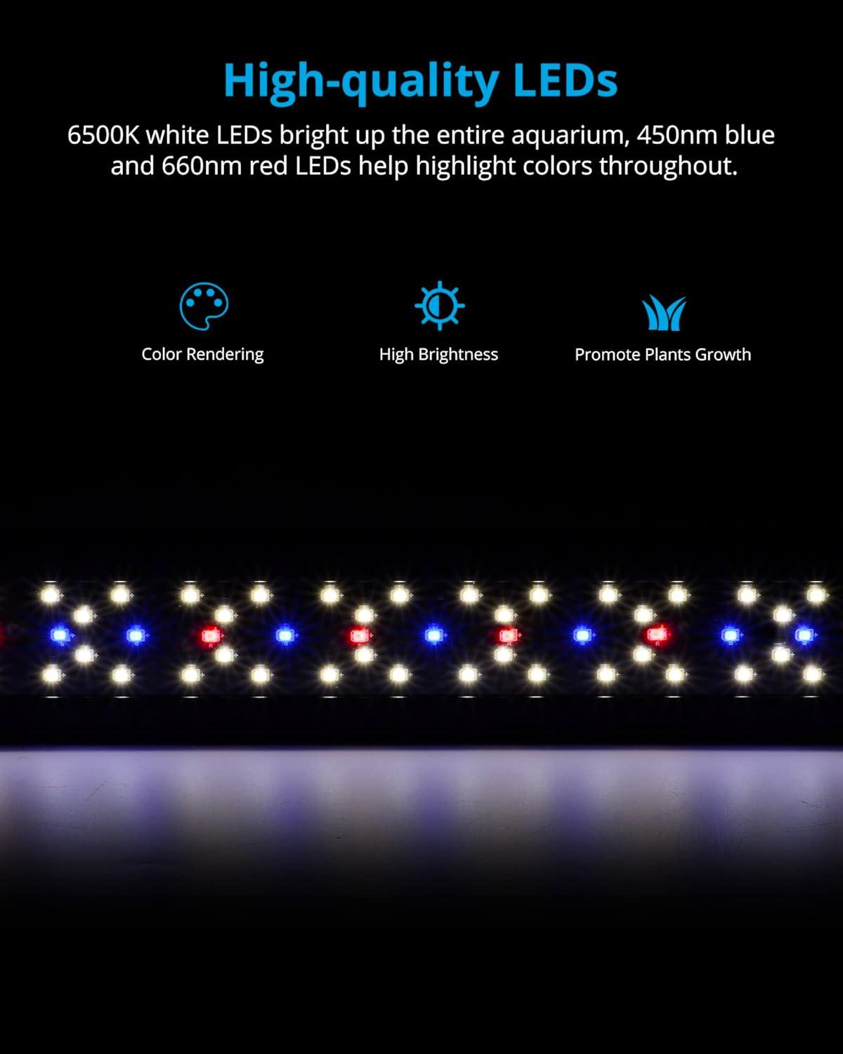 How We Elevated Our Aquascape ‌with Nature’s Light Simulator