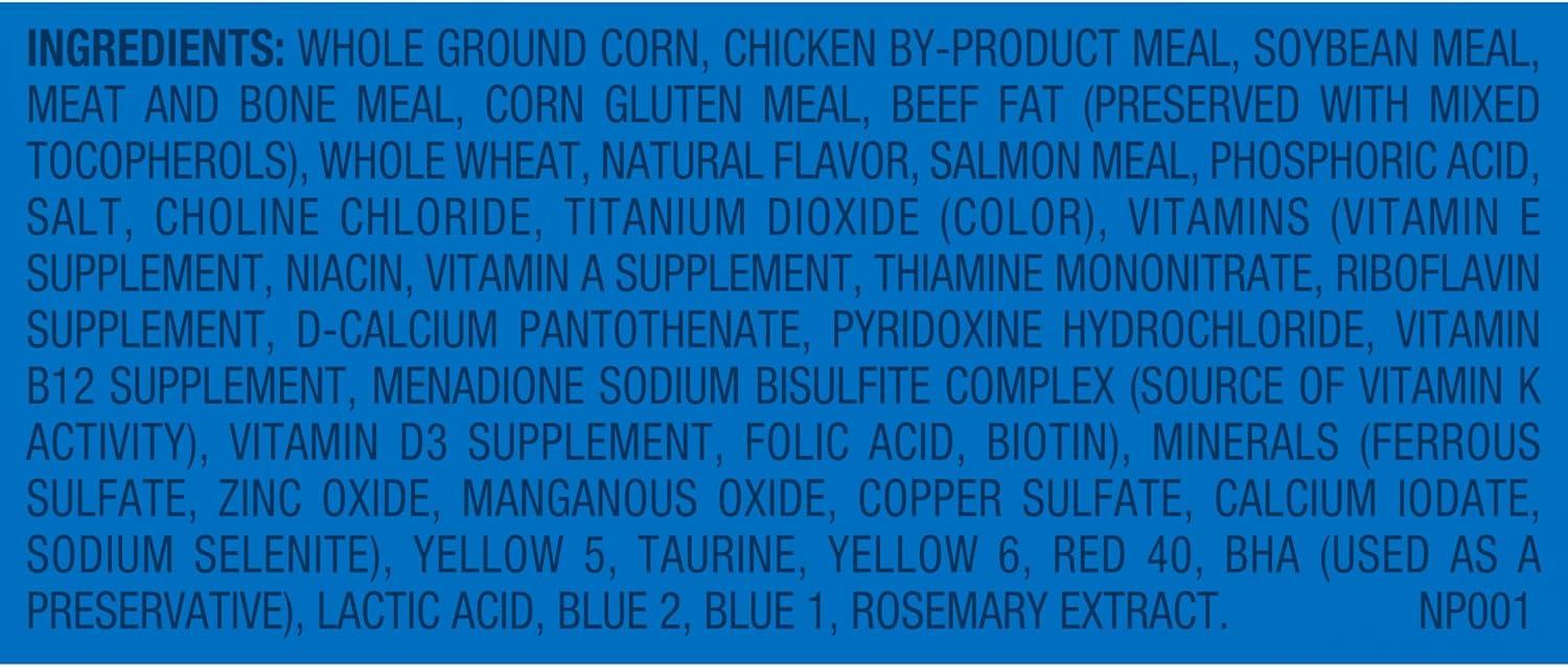 The Balanced Feast Keeping Our Cats​ Healthy and Happy Daily