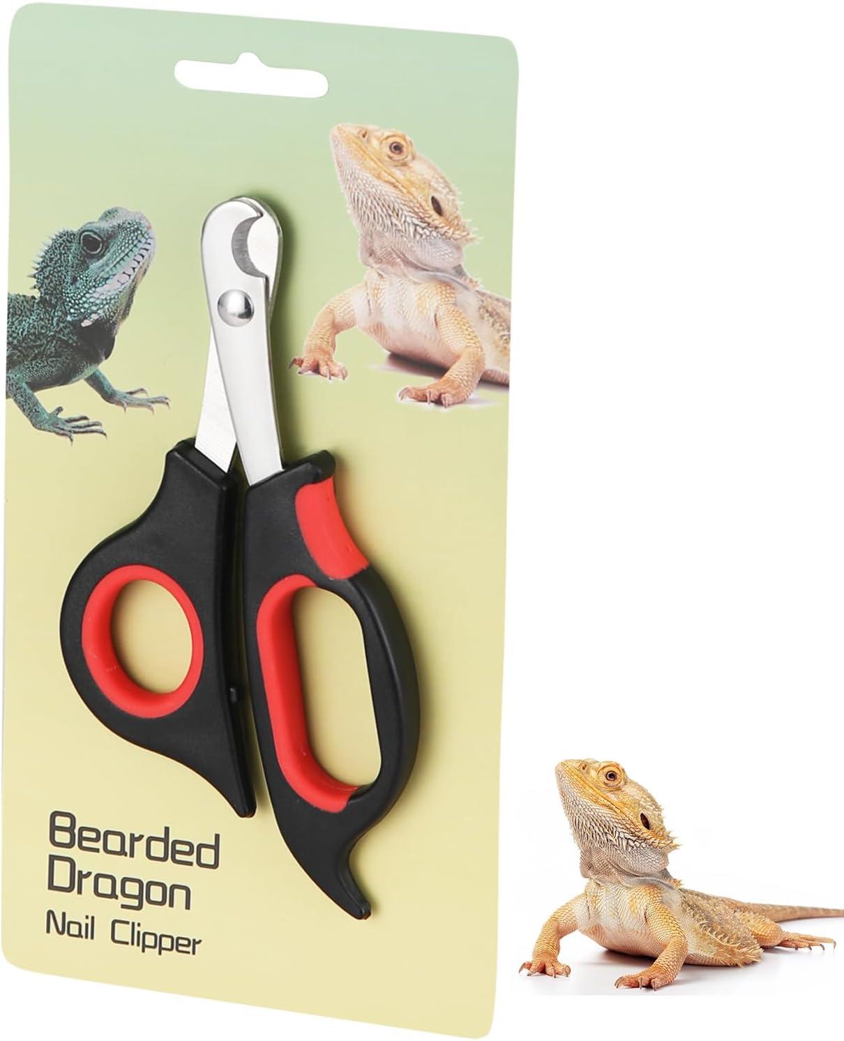 The Perfect Trim: How We Keep⁢ Our ⁢Bearded Dragons’ Nails Safe & Smooth