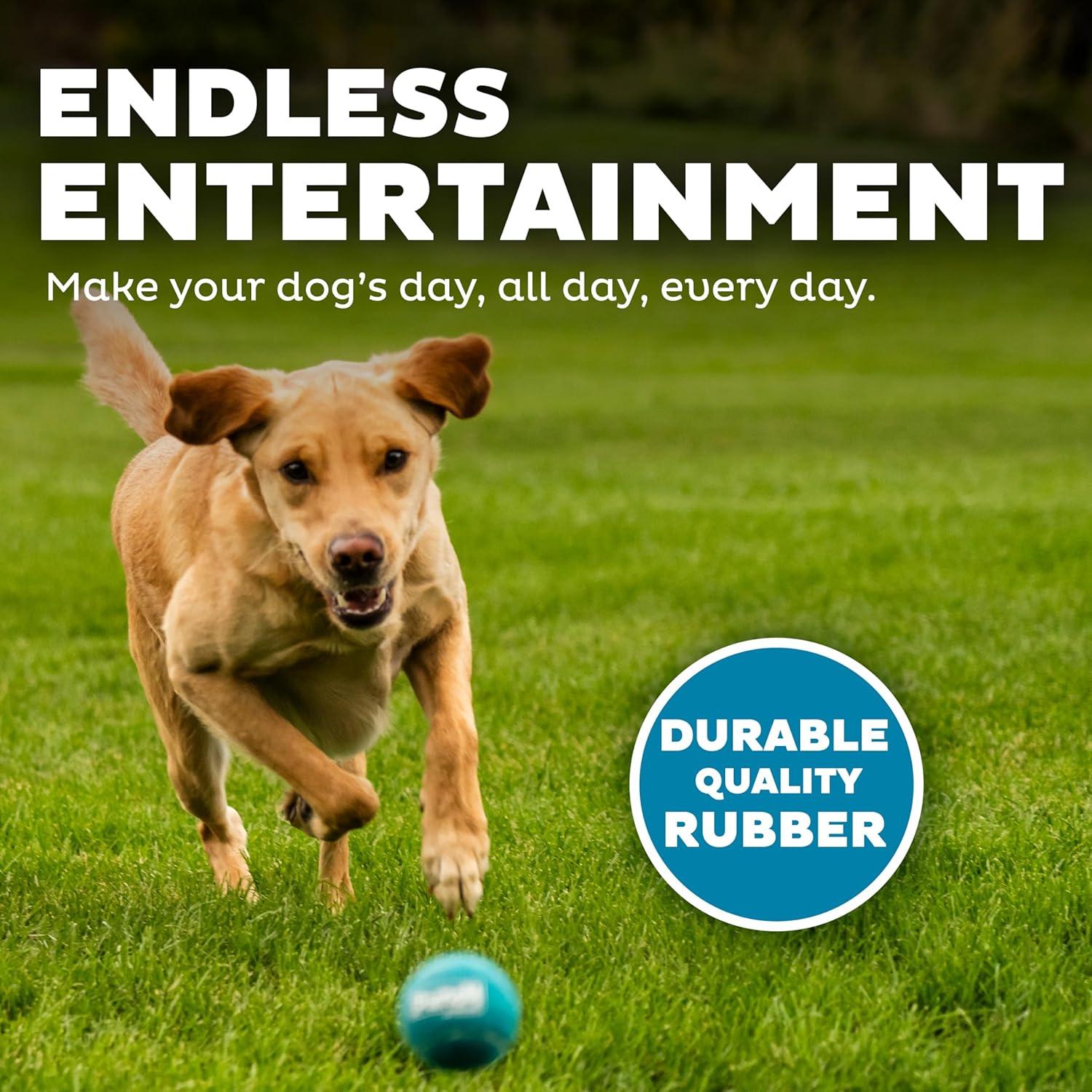 Why‌ Our Dogs Can’t Get Enough of These Bouncy Squeaky Balls