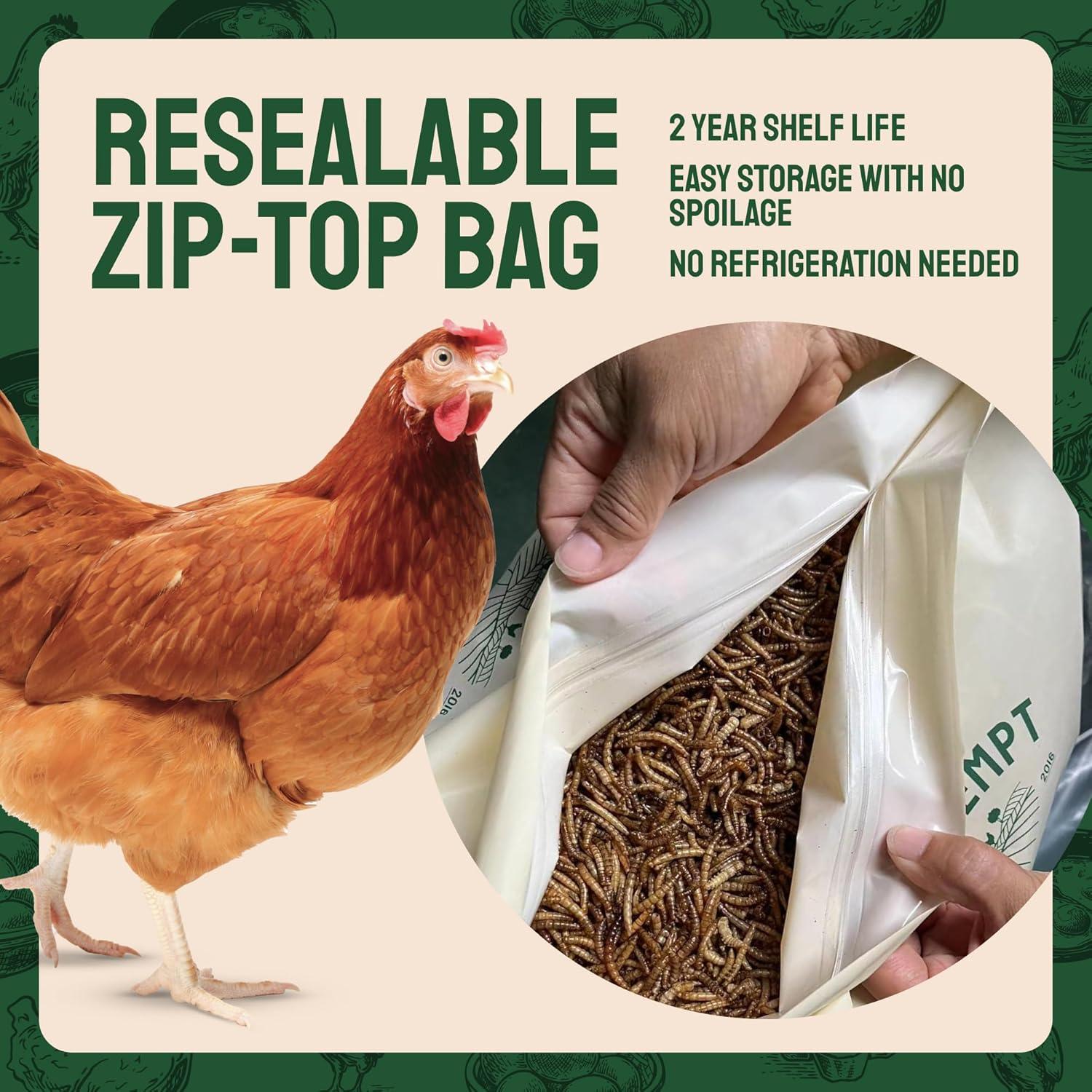 Fueling​ Our Flock​ Naturally: high-Protein Mealworms That‍ Deliver
