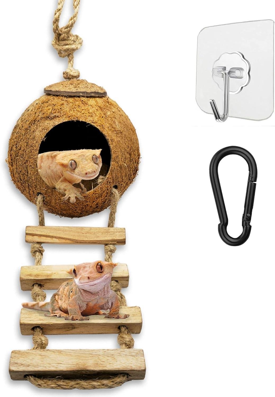 How Our Gecko’s Coconut Hide Inspires‍ play and Cozy Comfort