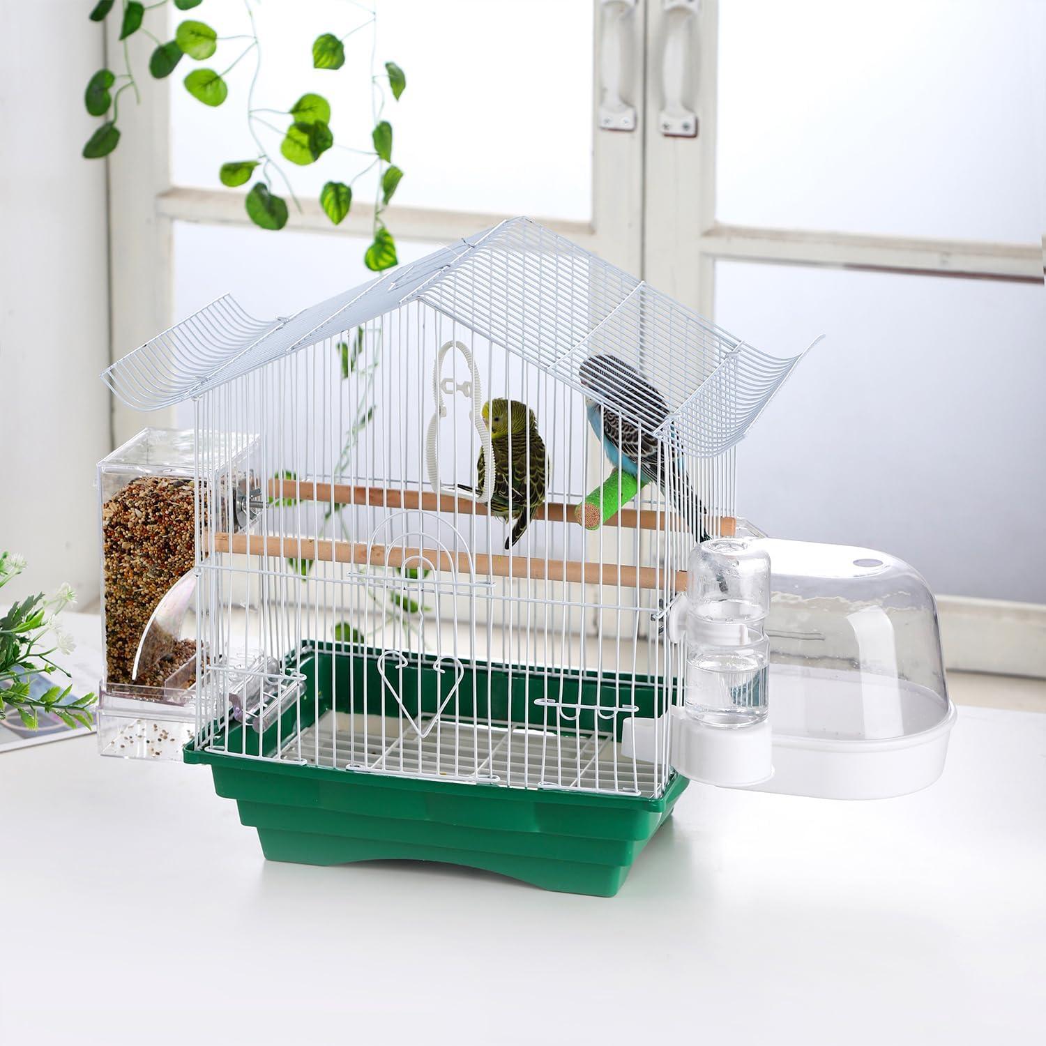 How This Mess-Free Bird Feeder Simplified Our Parrot Care Routine