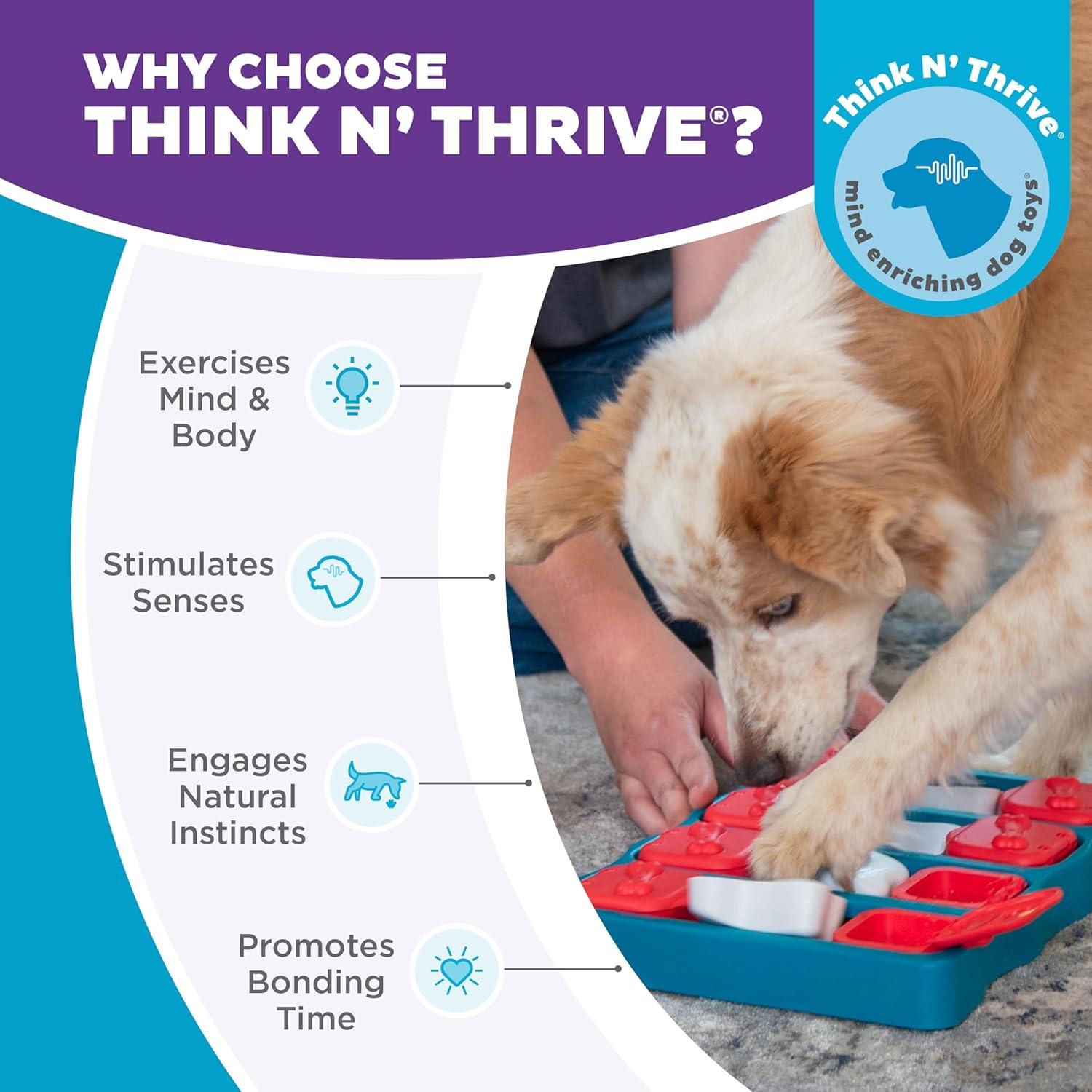 Keeping Our Dogs Sharp: The Interactive Puzzle That Turns Treats Into Brain Games