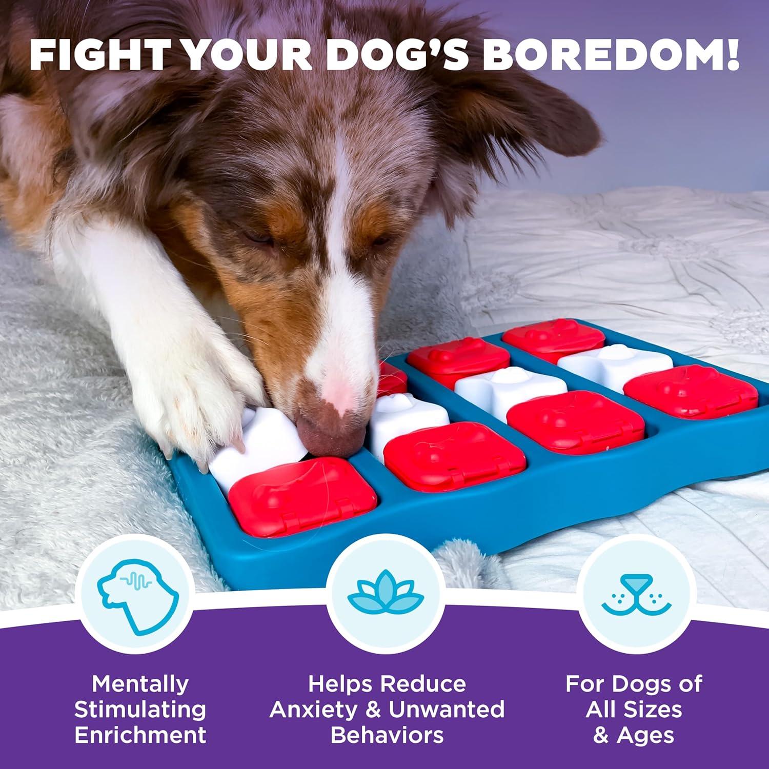Keeping Our Dogs Sharp: The interactive Puzzle That Turns Treats Into Brain Games