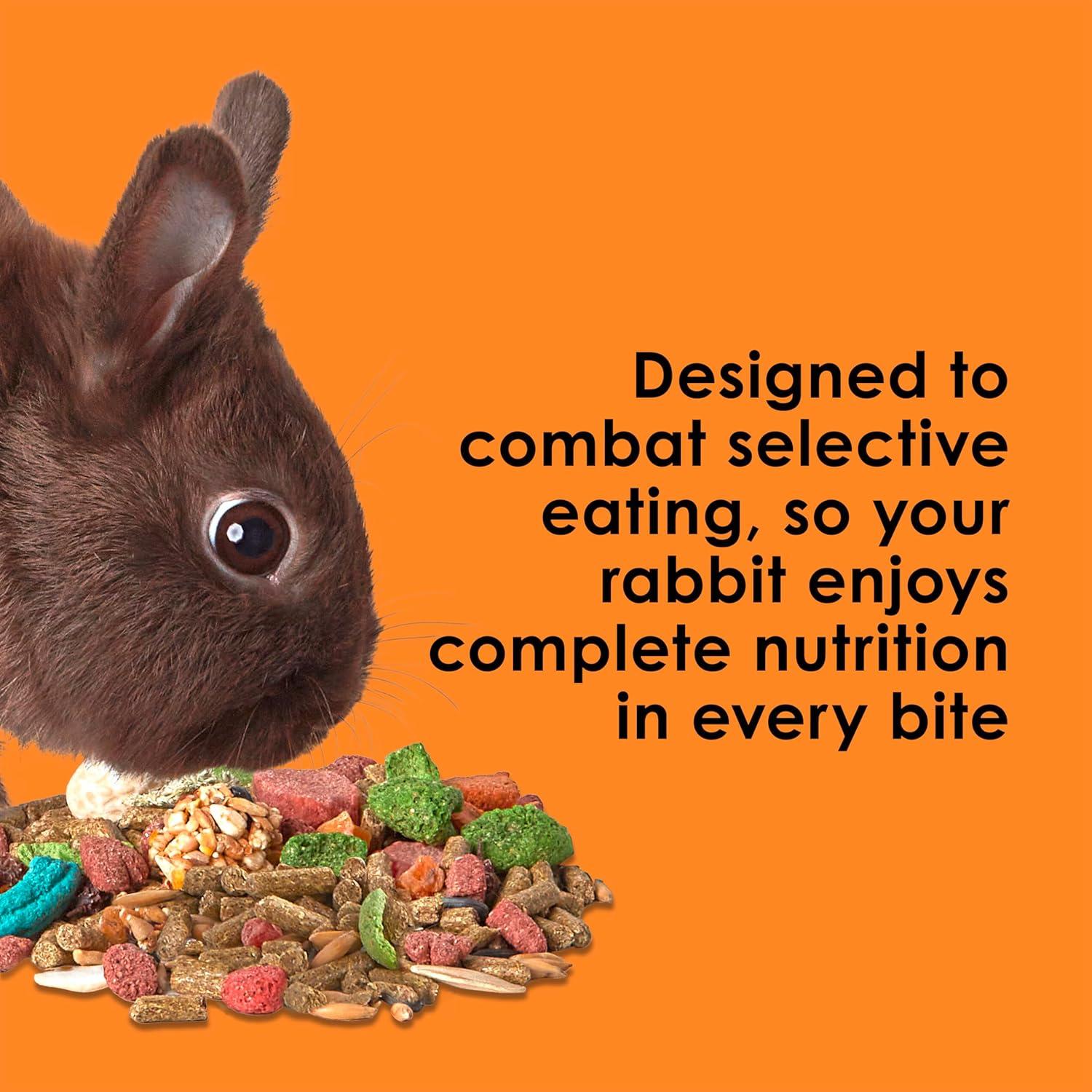 Why Kaytee Fiesta Turns Every Bunny’s meal into a Celebration