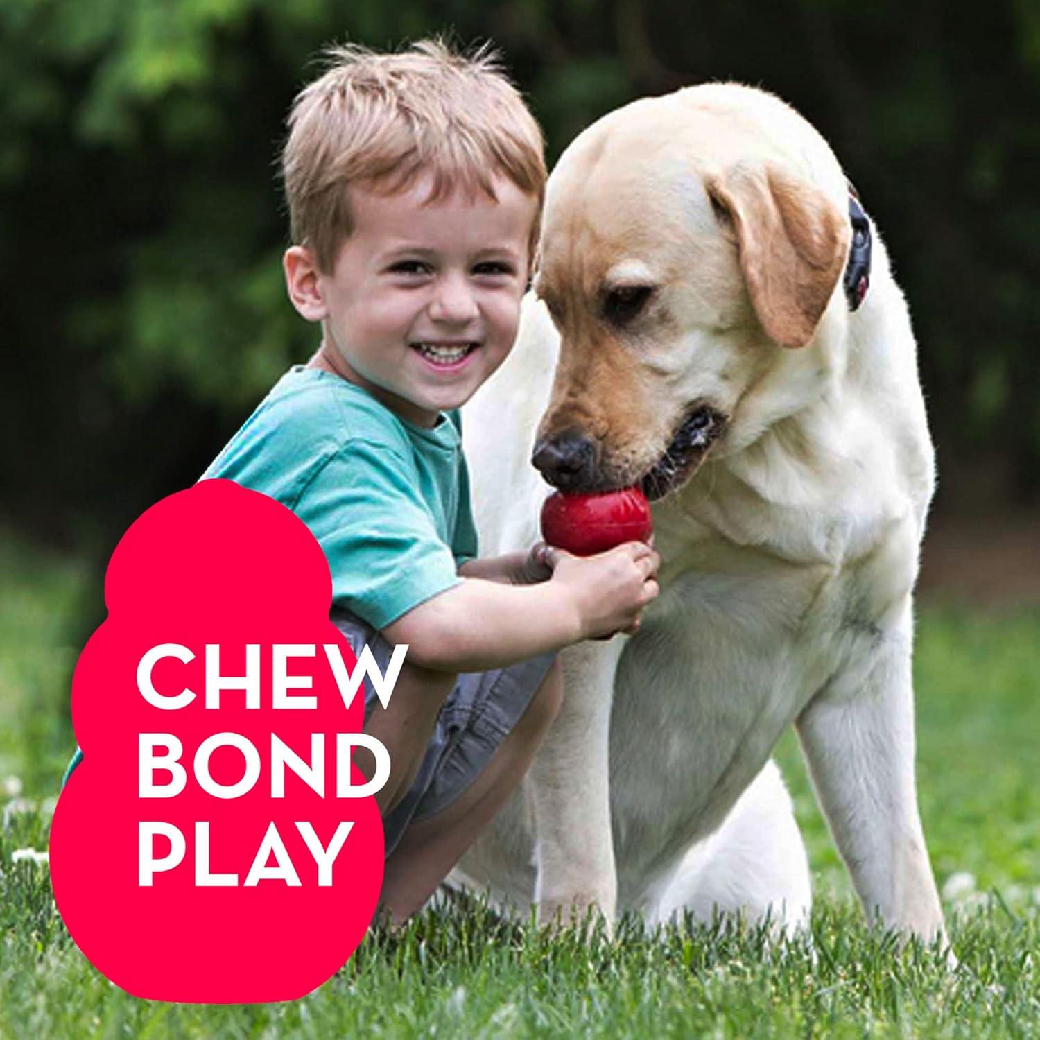 How We Kept Our Dogs⁣ Busy Longer​ with This Durable Chew Toy