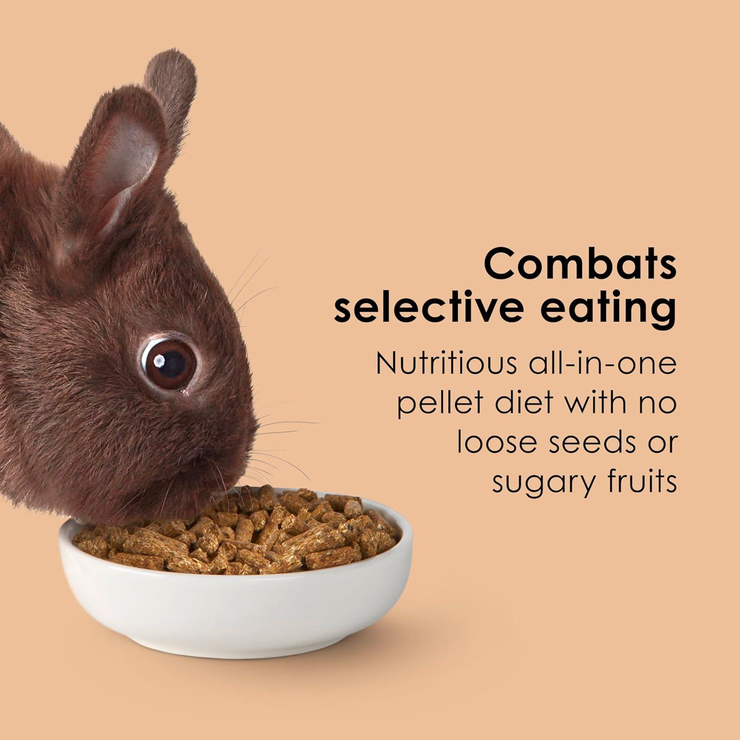 how We Found the Perfect Fiber Boost for Our Bunny’s Health
