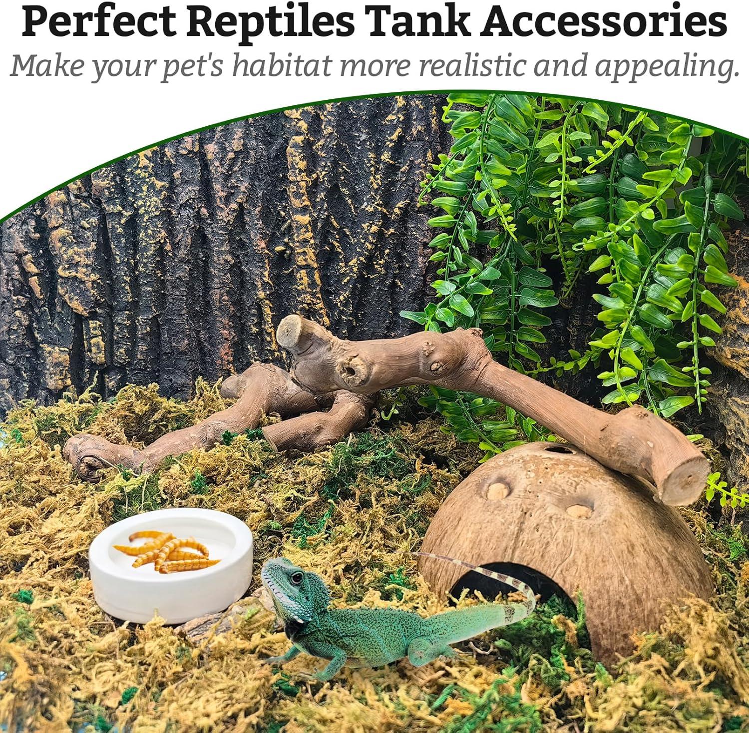 How Our Pets Thrived with These Natural Climbing Branches