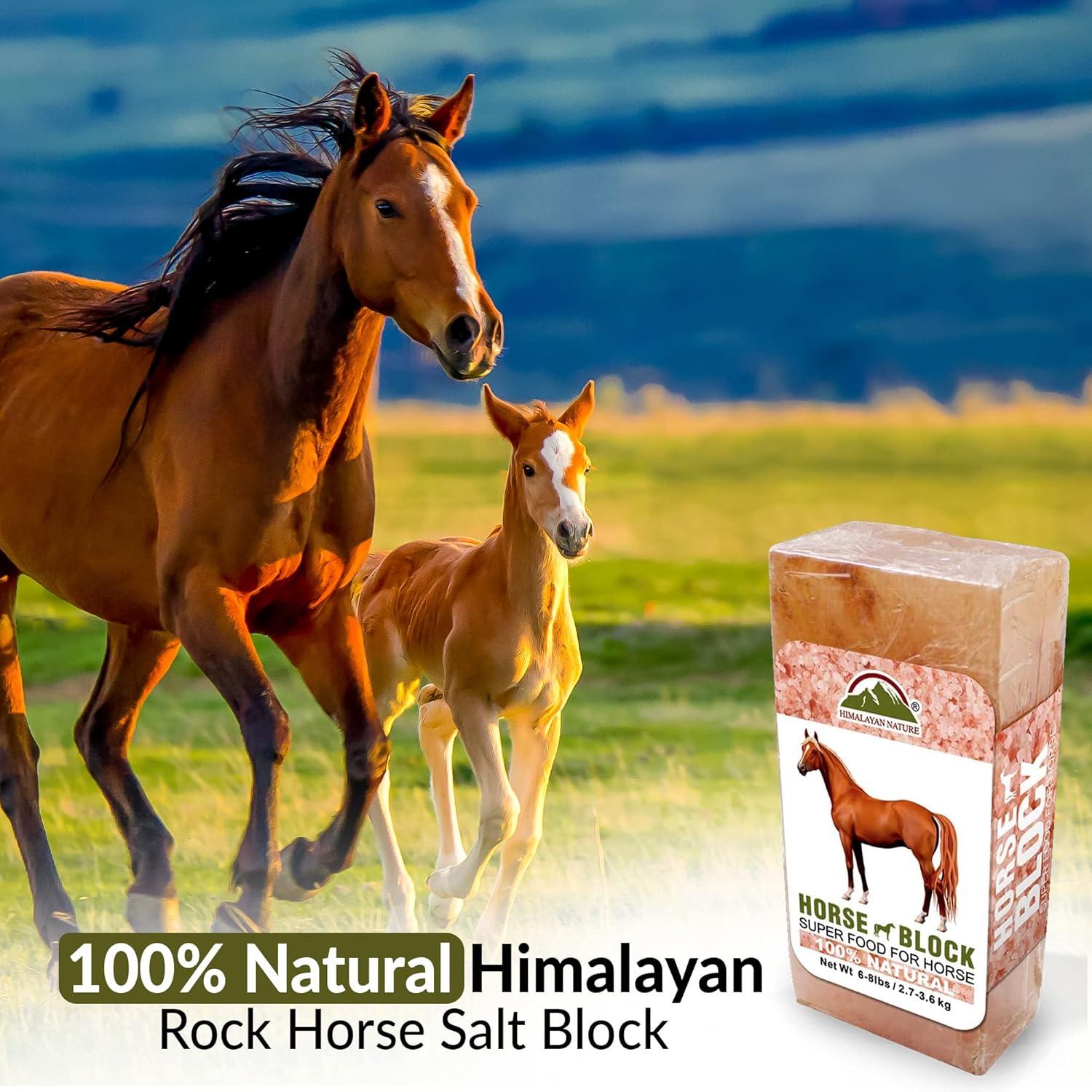 How Our herd Thrives with Himalayan⁤ mineral Salt Blocks