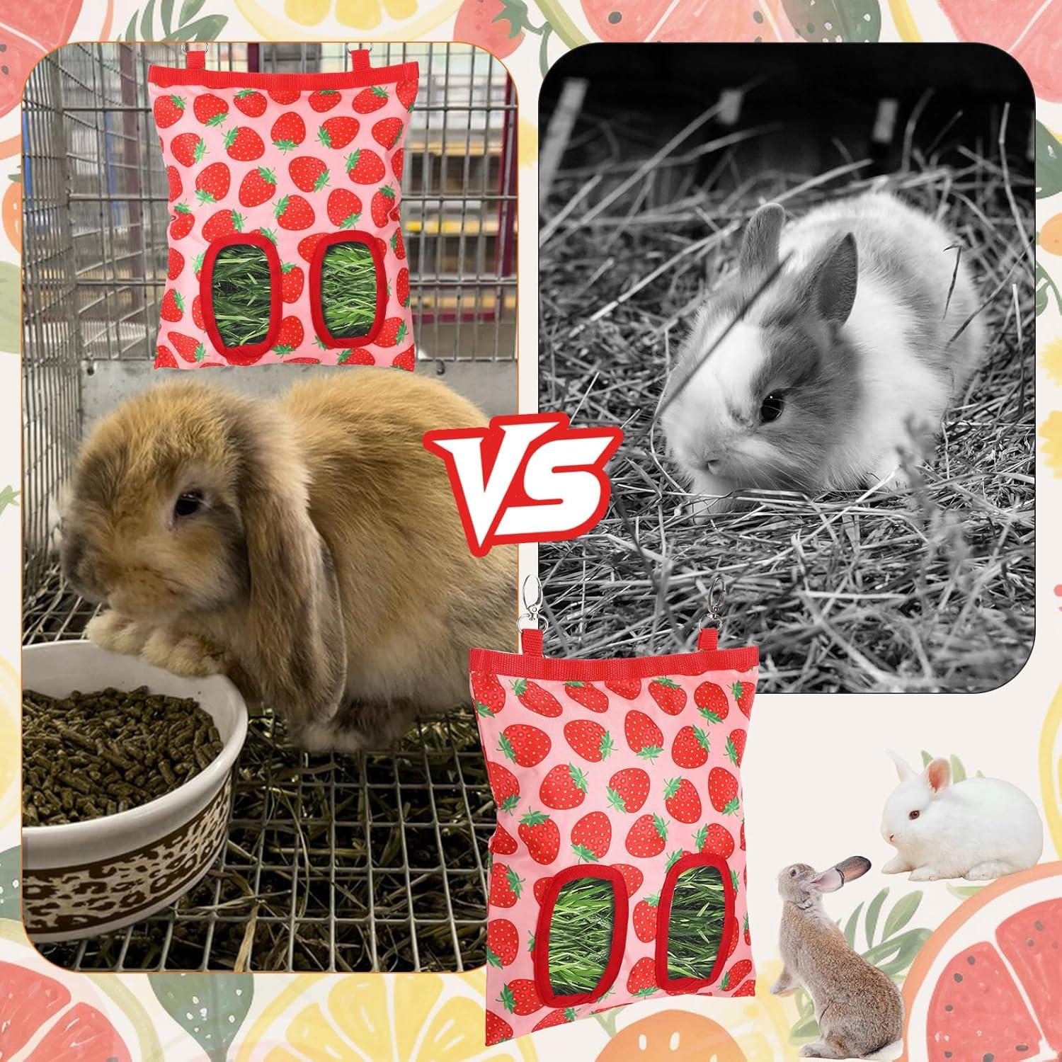 How Our Trio of Soft Brushes Transformed Pet Grooming Care