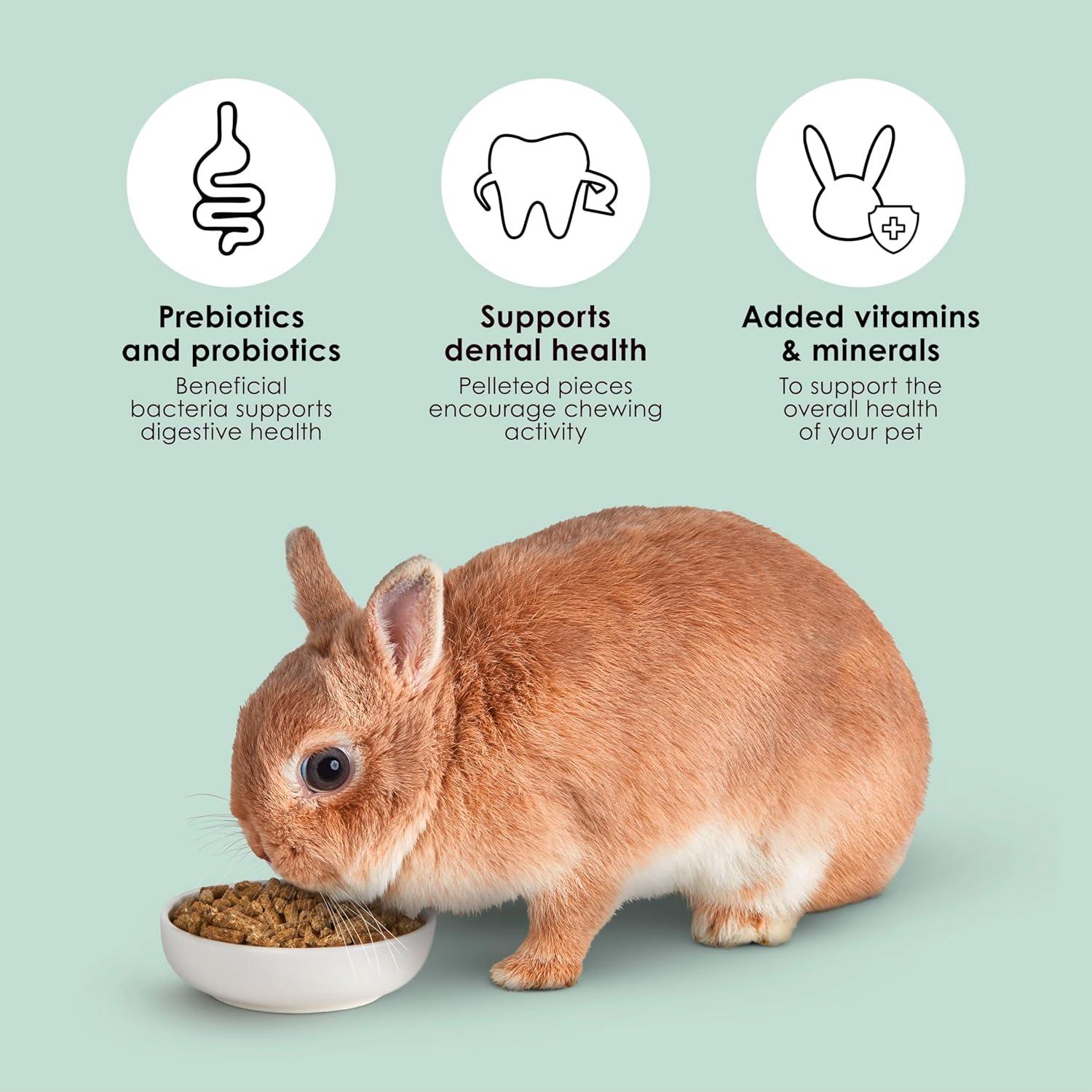 How We Found the Perfect Fiber Boost ‌for Our Bunny’s‍ Health