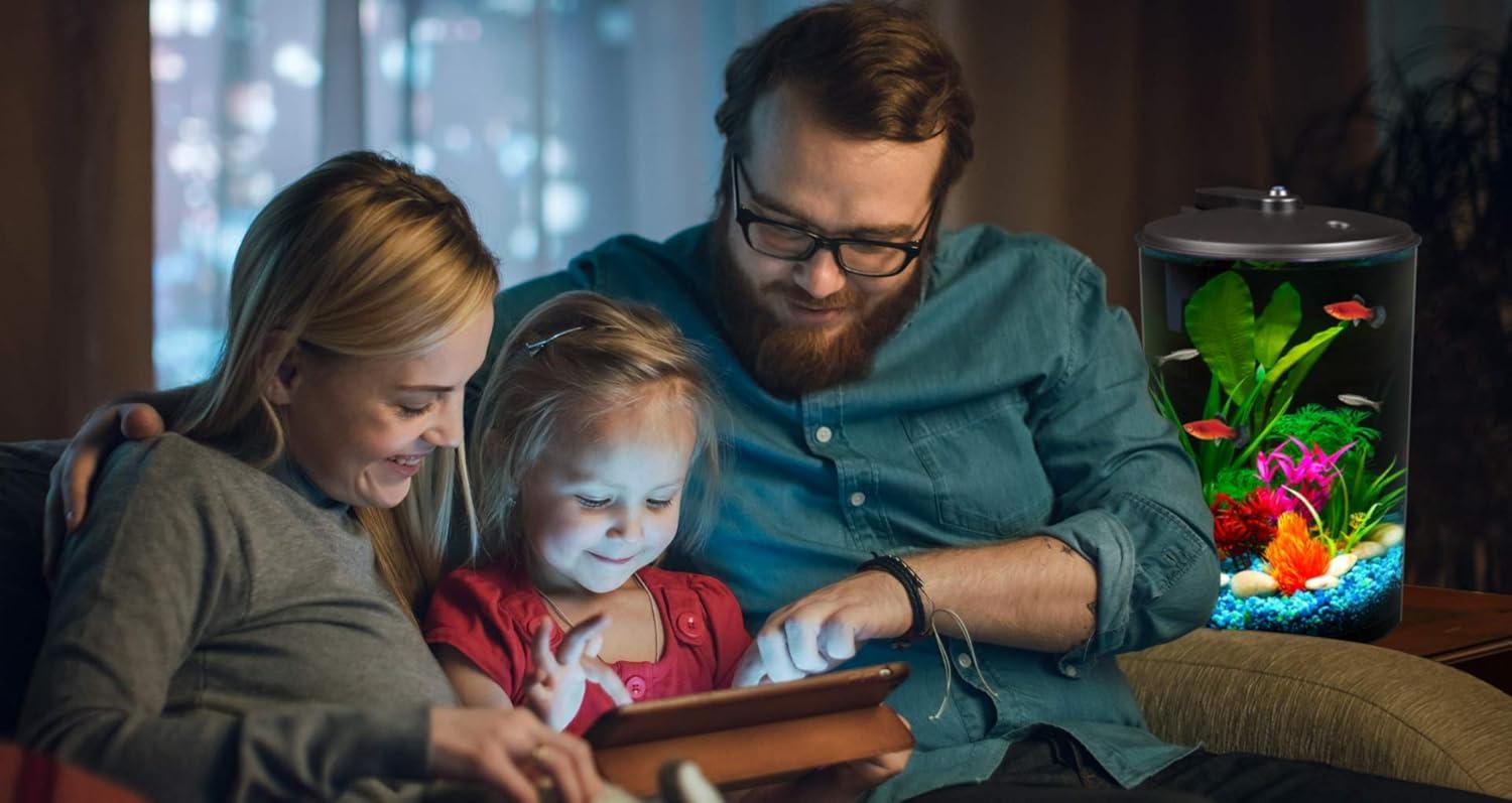 How ‍Our 3-Gallon Aquarium Brings Color and Clarity to‍ Life